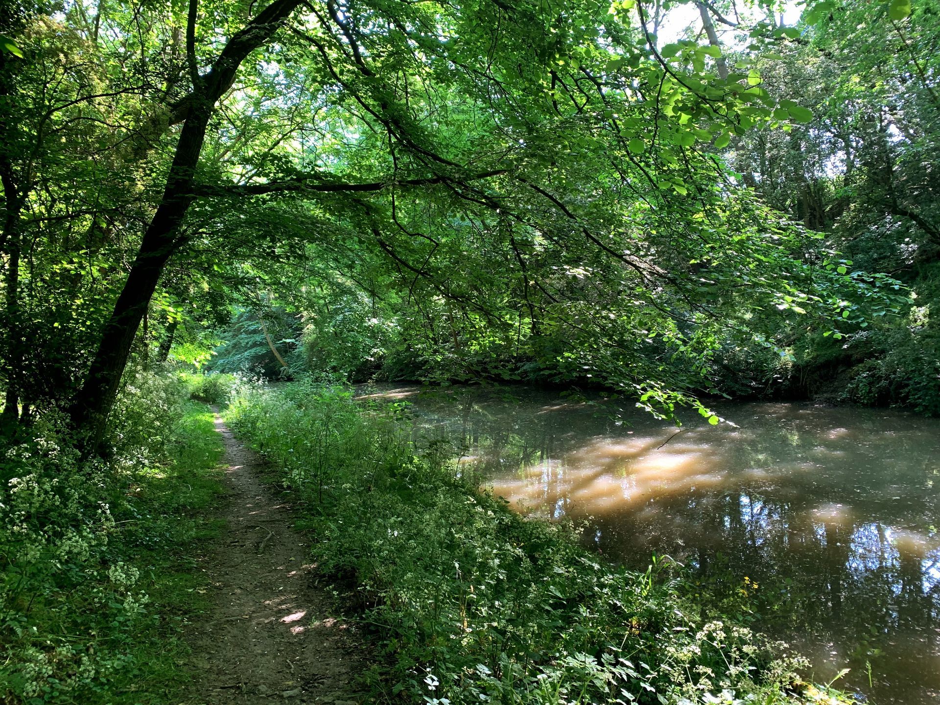 A leafy secluded canal scene