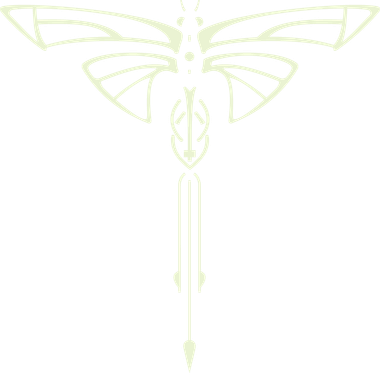 Dragonfly logo