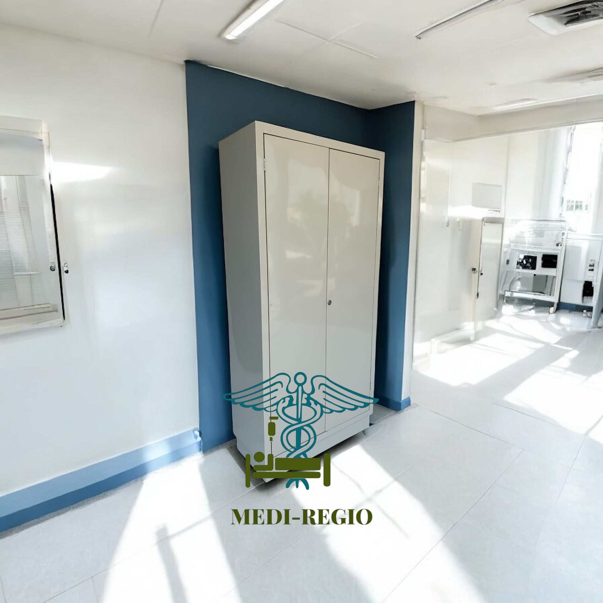 MEDI-REGIO, SA DE CV