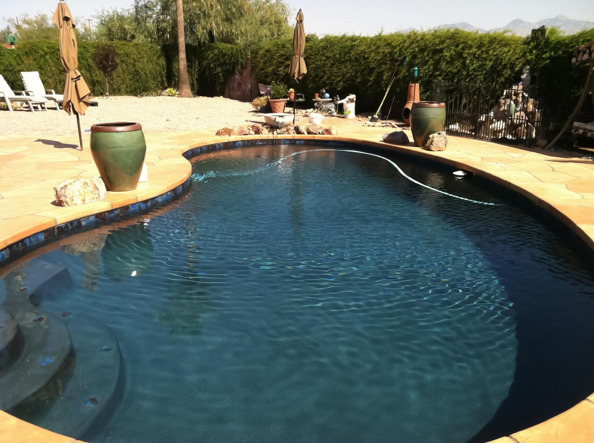 A large swimming pool surrounded by potted plants and umbrellas