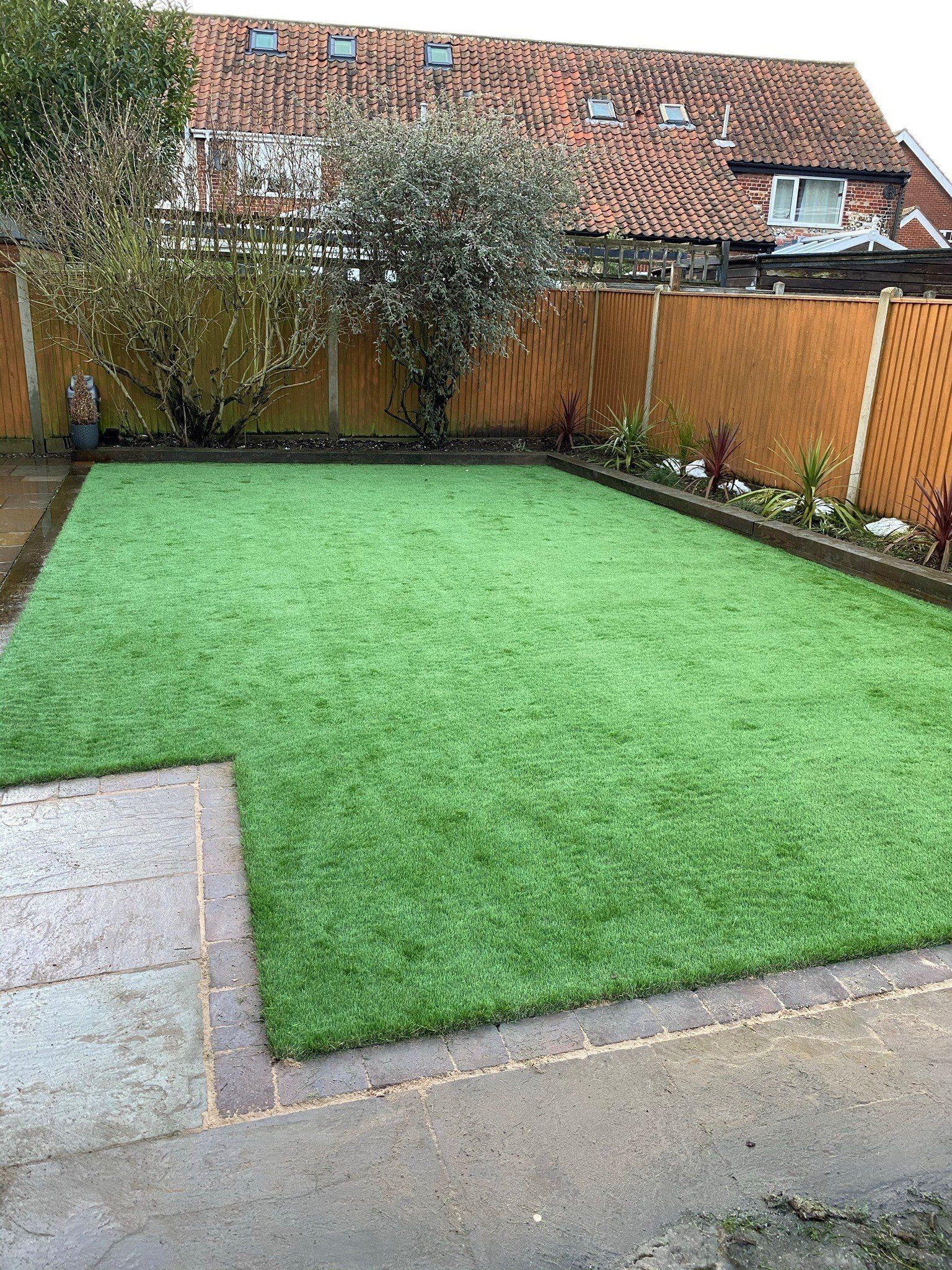 a lush green lawn in a backyard with a fence and a house in the background .