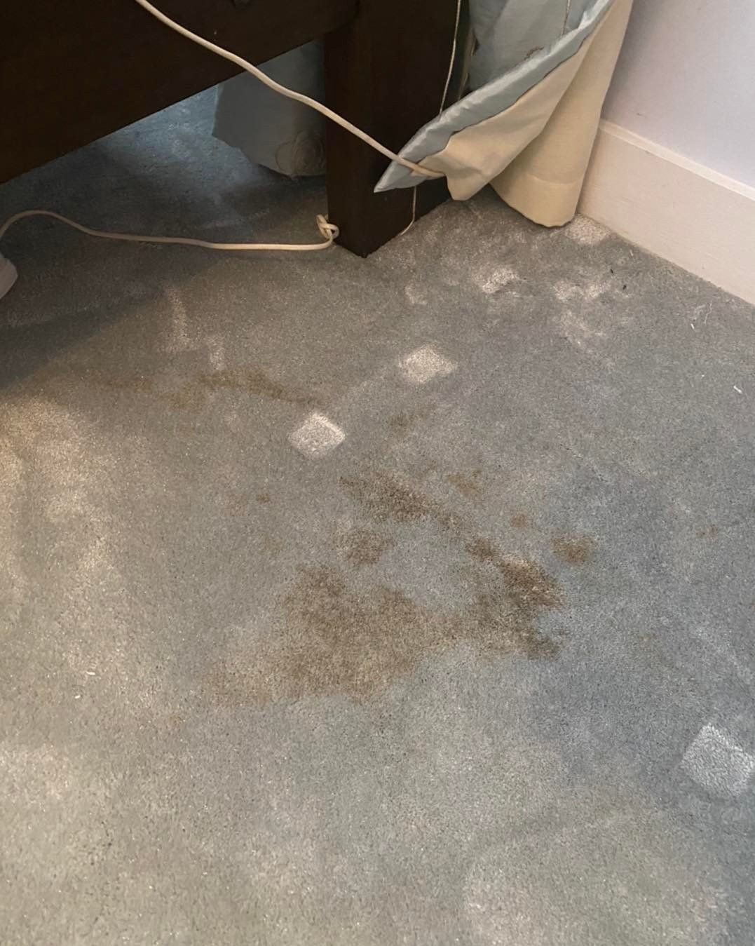 a dirty carpet in a bedroom next to a bed