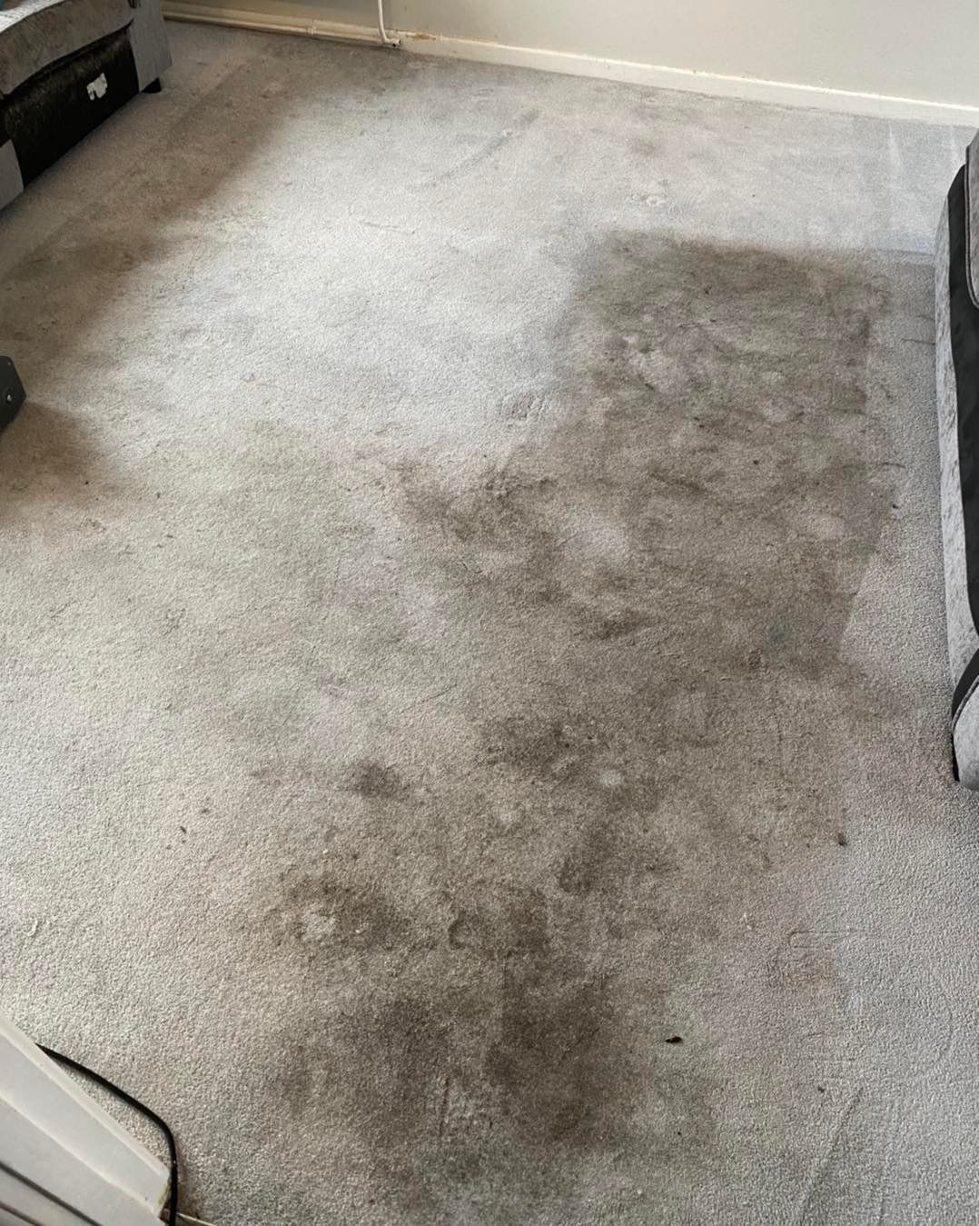 a living room with a dirty carpet and a couch .