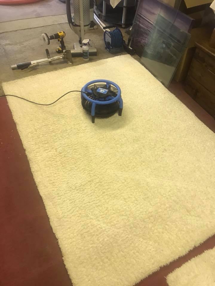 a vacuum cleaner is sitting on top of a white rug .