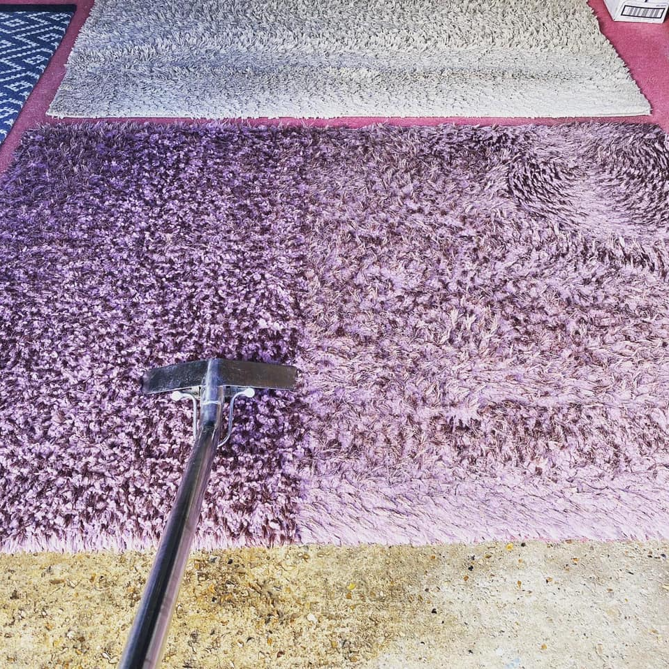 a purple rug is being cleaned with a vacuum cleaner .