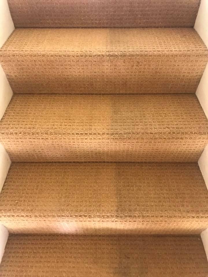 a close up of a set of stairs with a carpet on them .