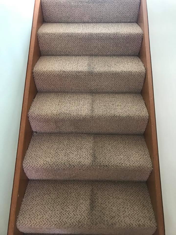 a staircase with a carpeted staircase and a wooden railing .