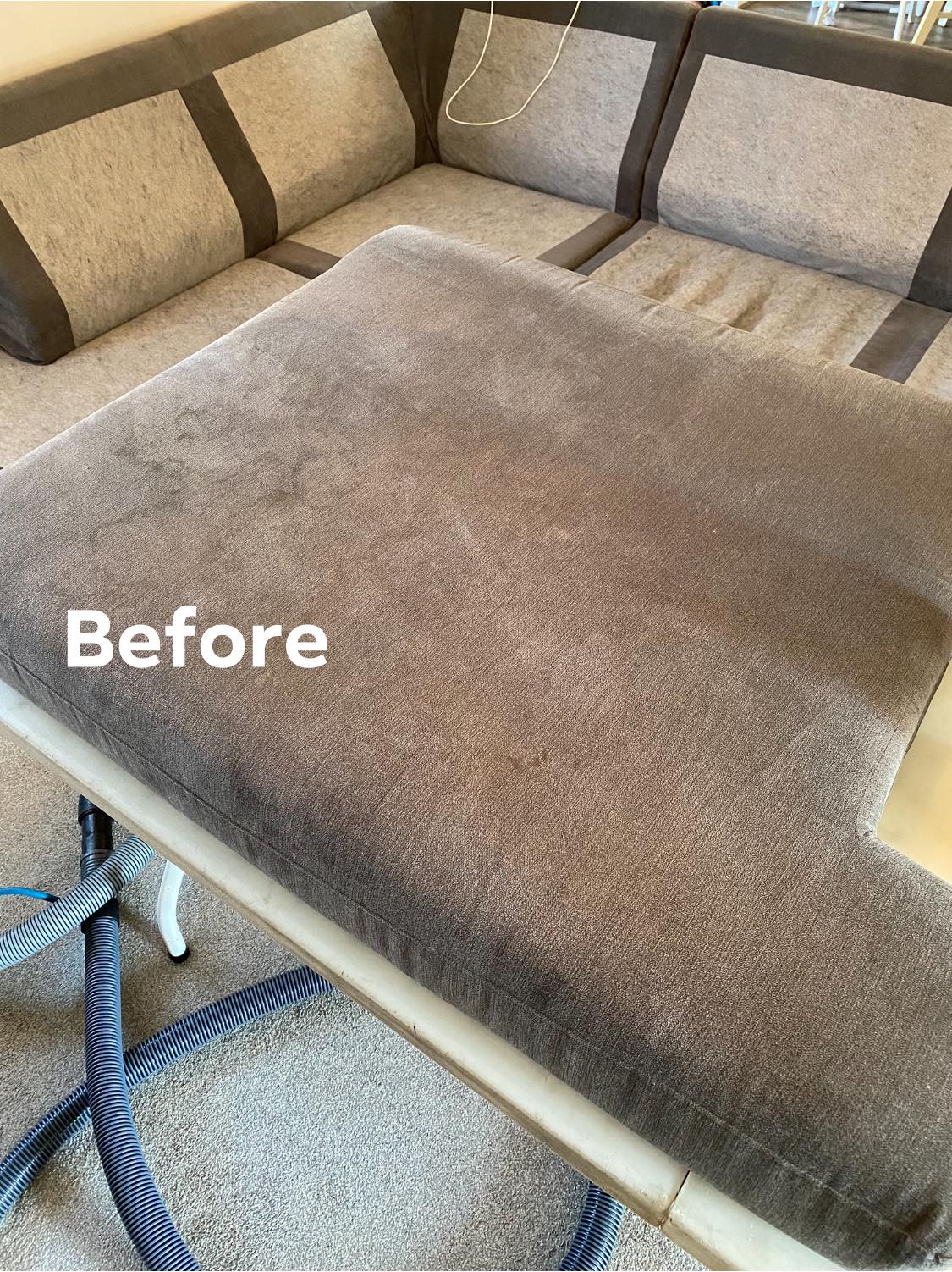 a picture of a couch before being cleaned with a vacuum cleaner .