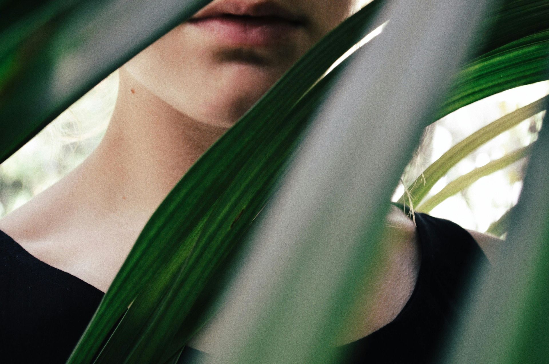 somatic exercises. Image of  Half a person's face behind leaves. 