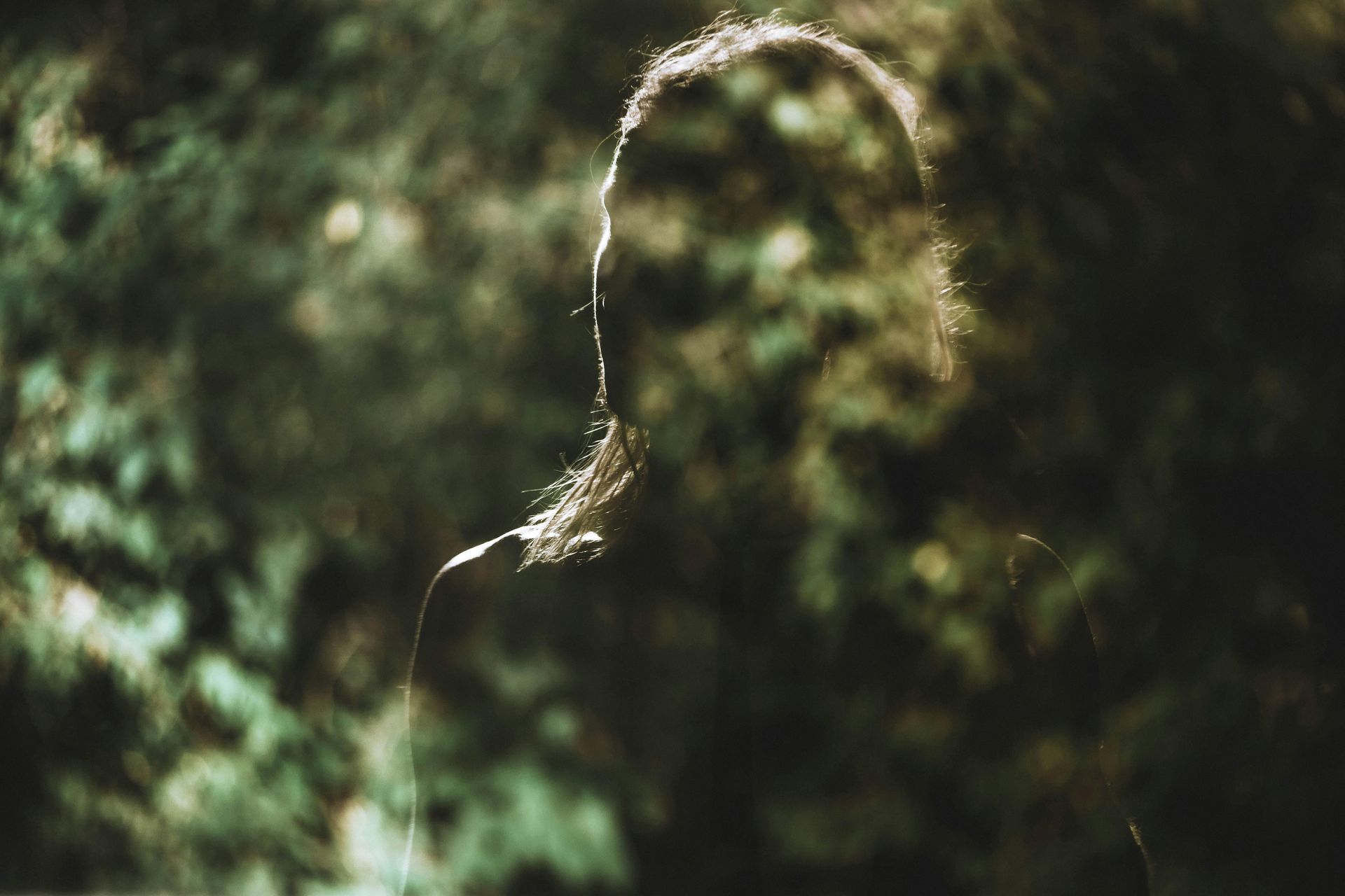 spiritual life coach. Silhouette of a woman with green leaves overlaid on the image.