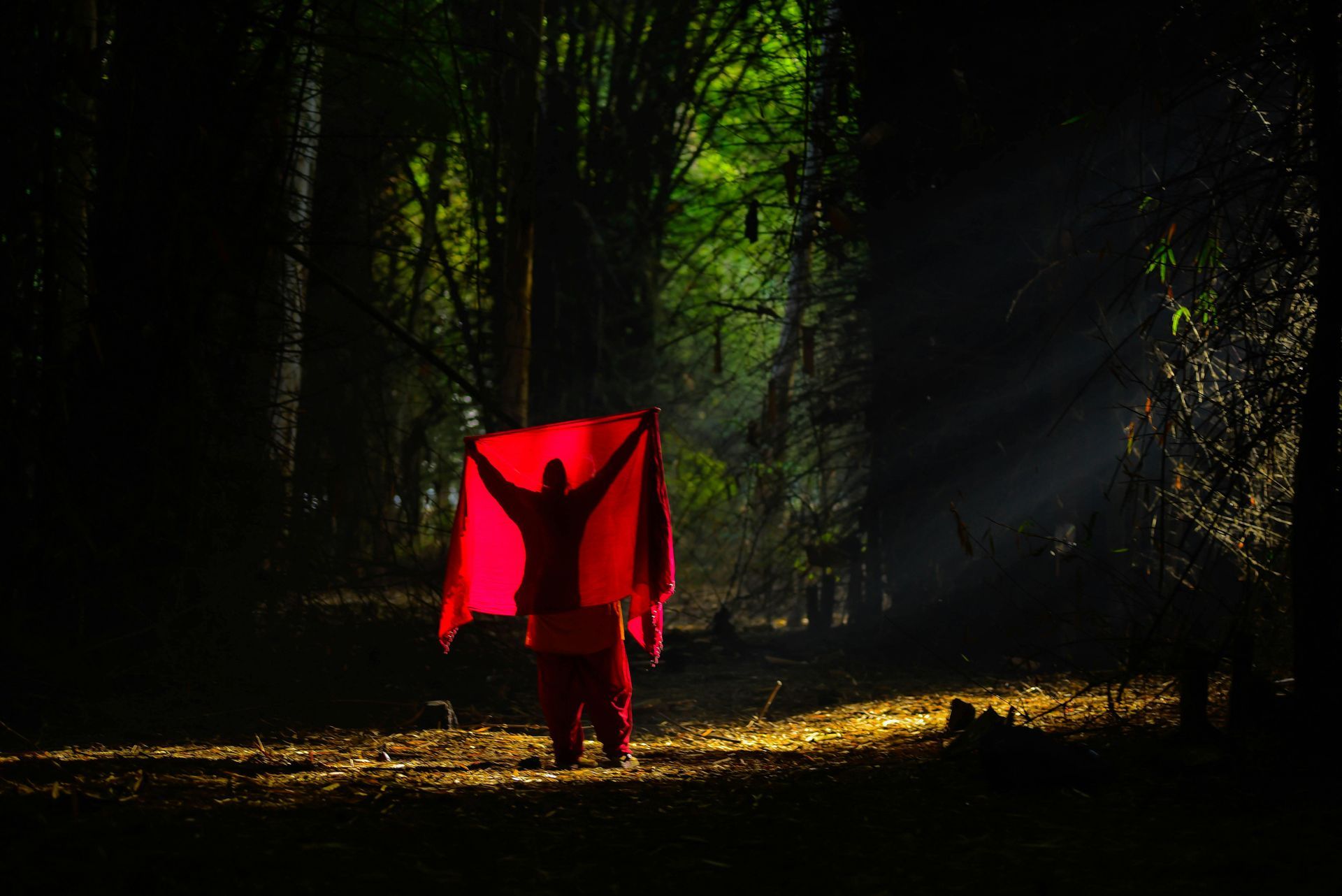 energy healer. Image of a person holding up a piece of red fabric in a forest. 