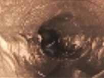 Close-up of a dark, blurry shape in a brown, reflective surface.