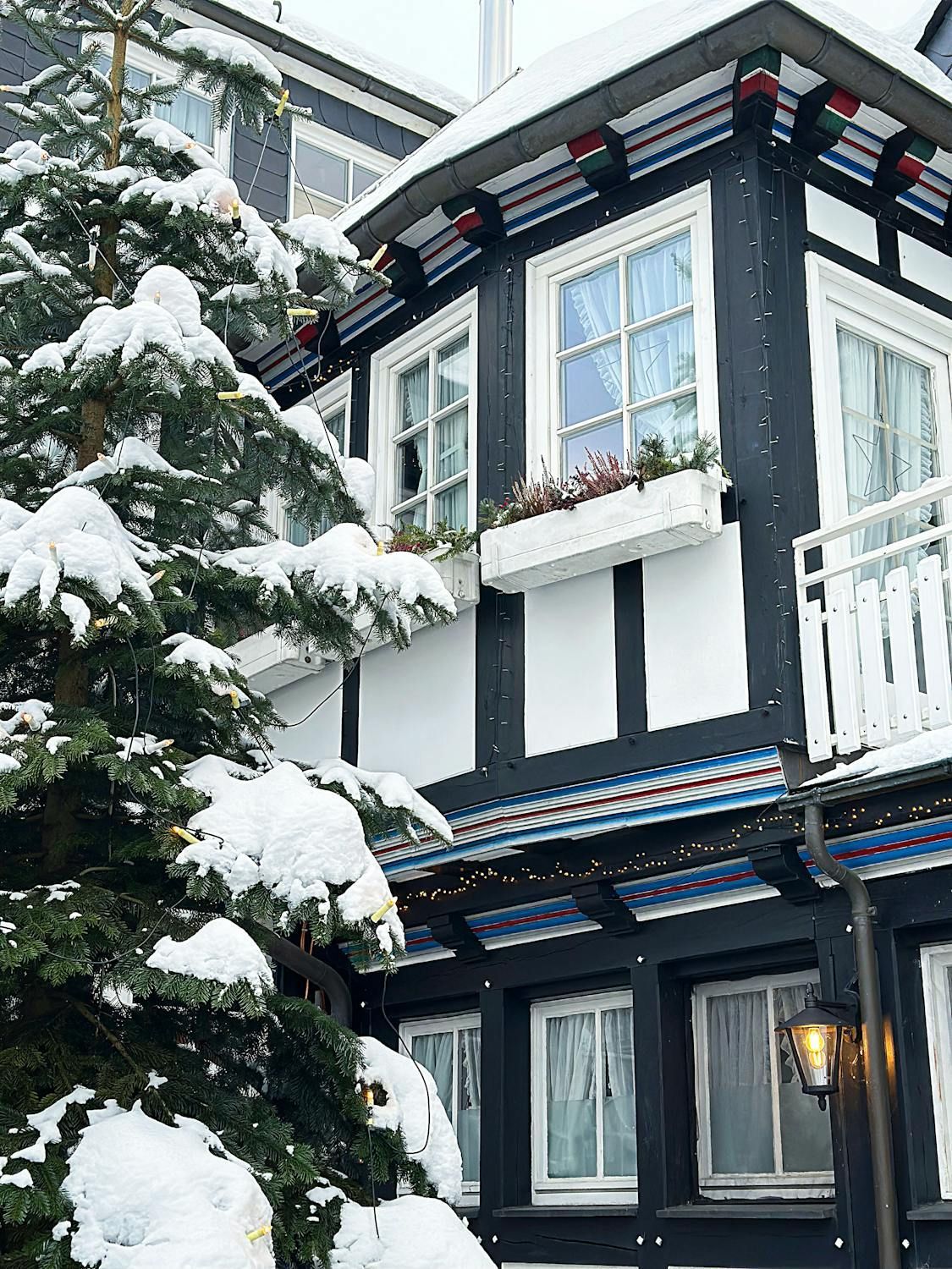 Clean windows shining after seasonal window cleaning.