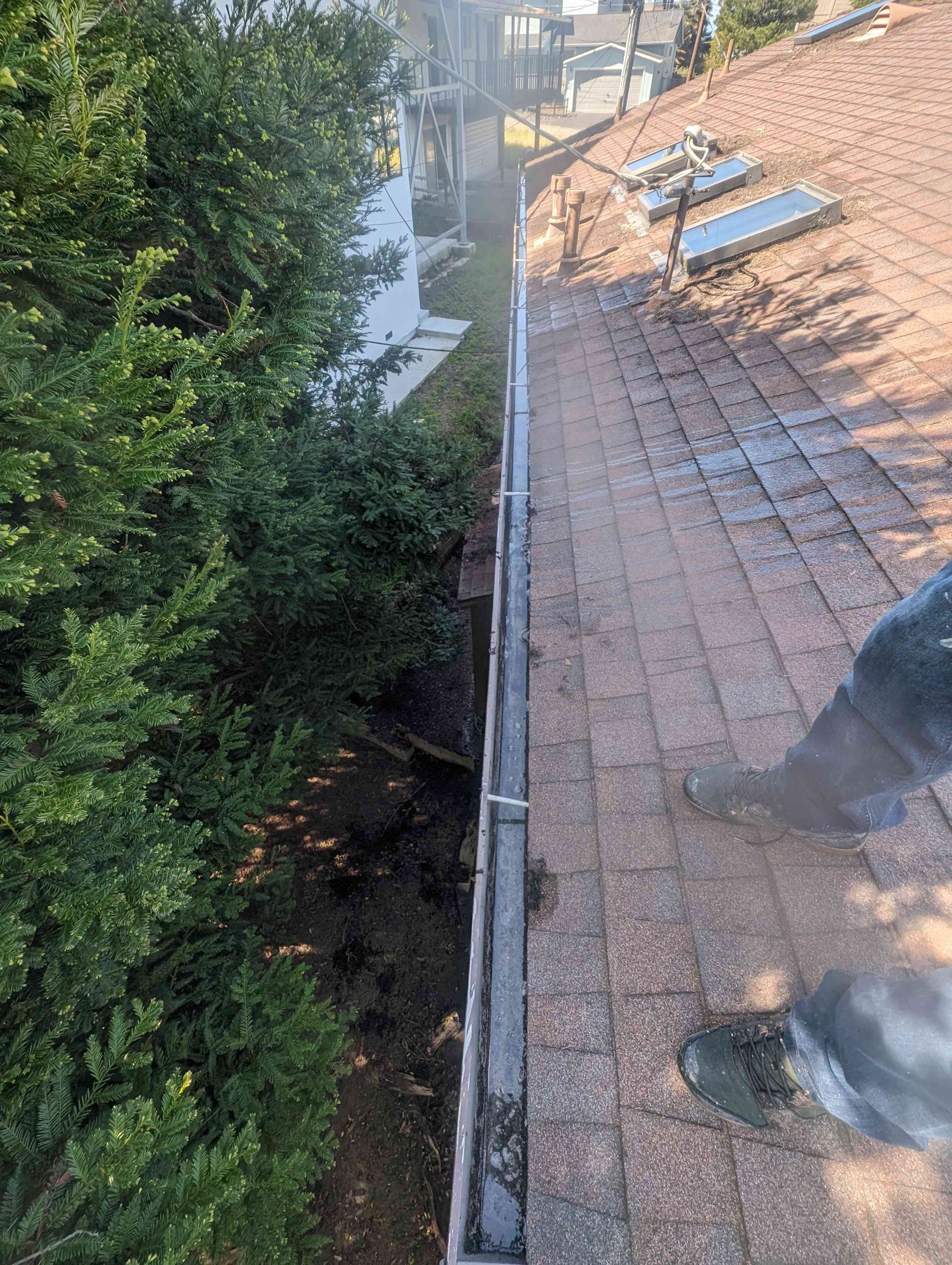 Person is cleaning a gutter on a brick roof.