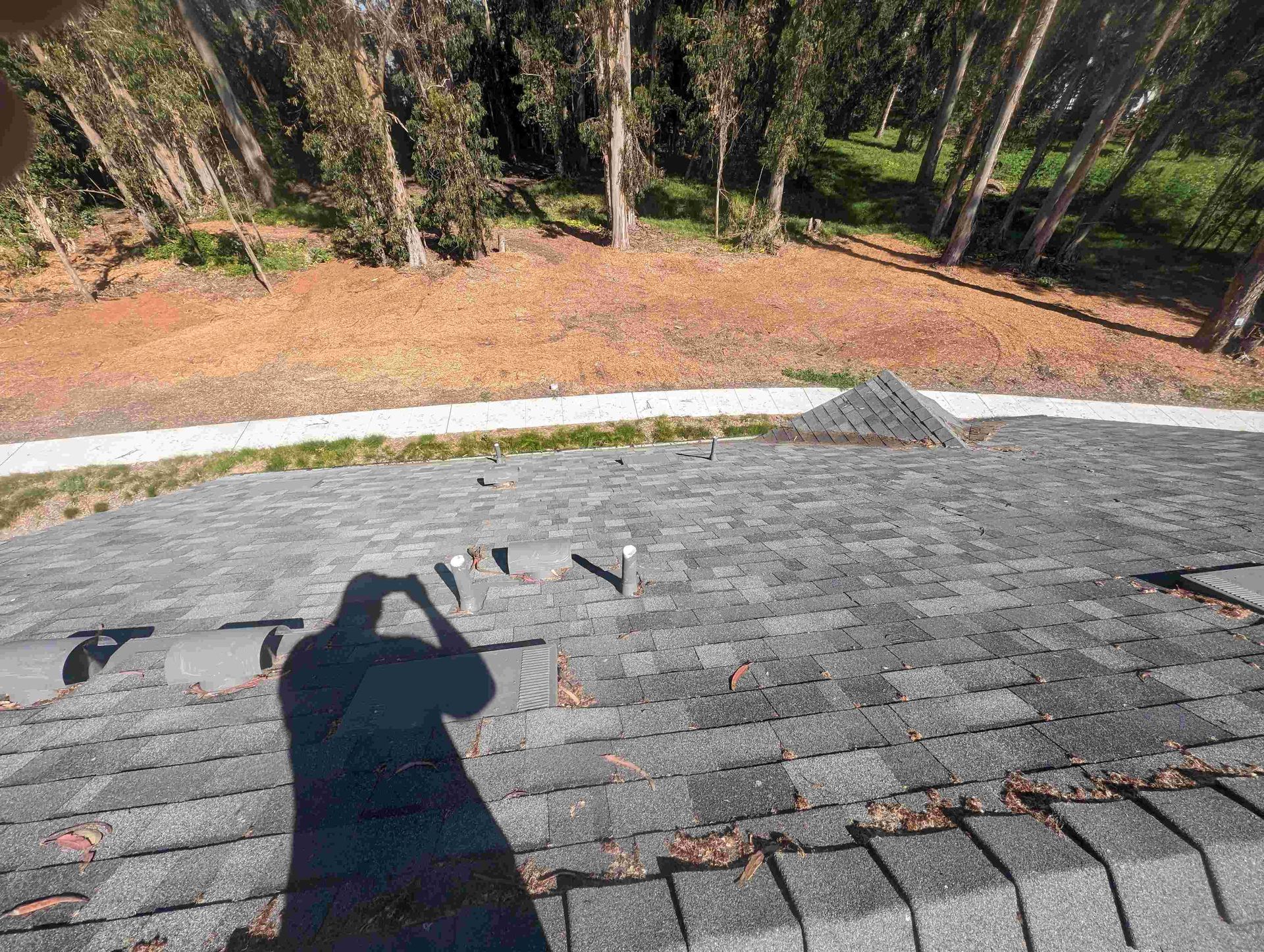 Person is taking a picture of their shadow on a roof.