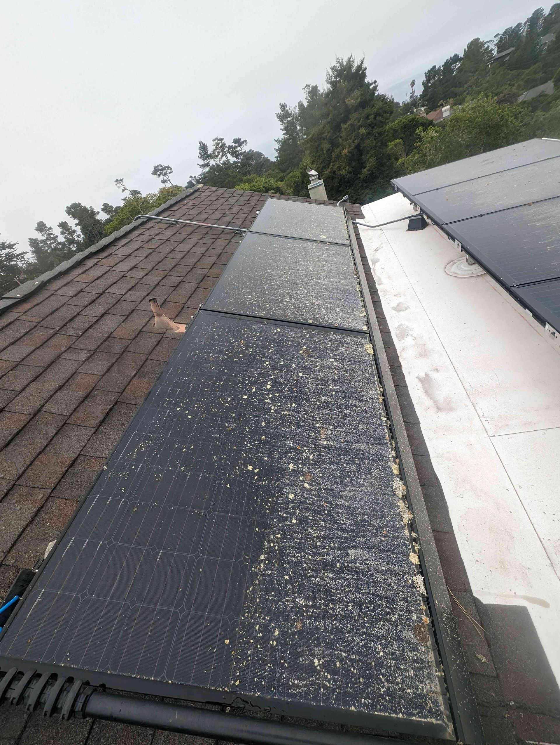 A roof with a lot of solar panels on it.