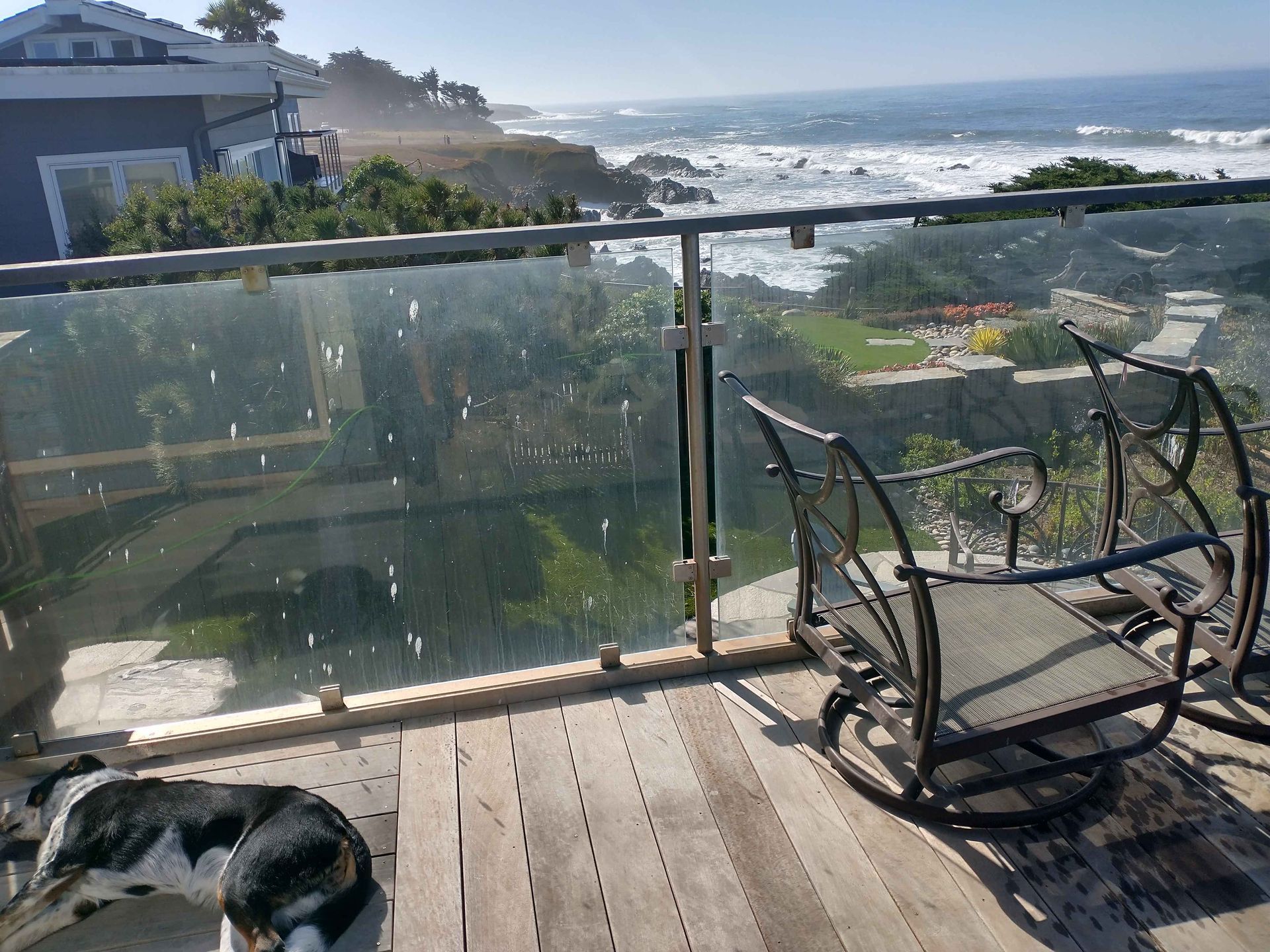 A dog is laying on a deck overlooking the ocean