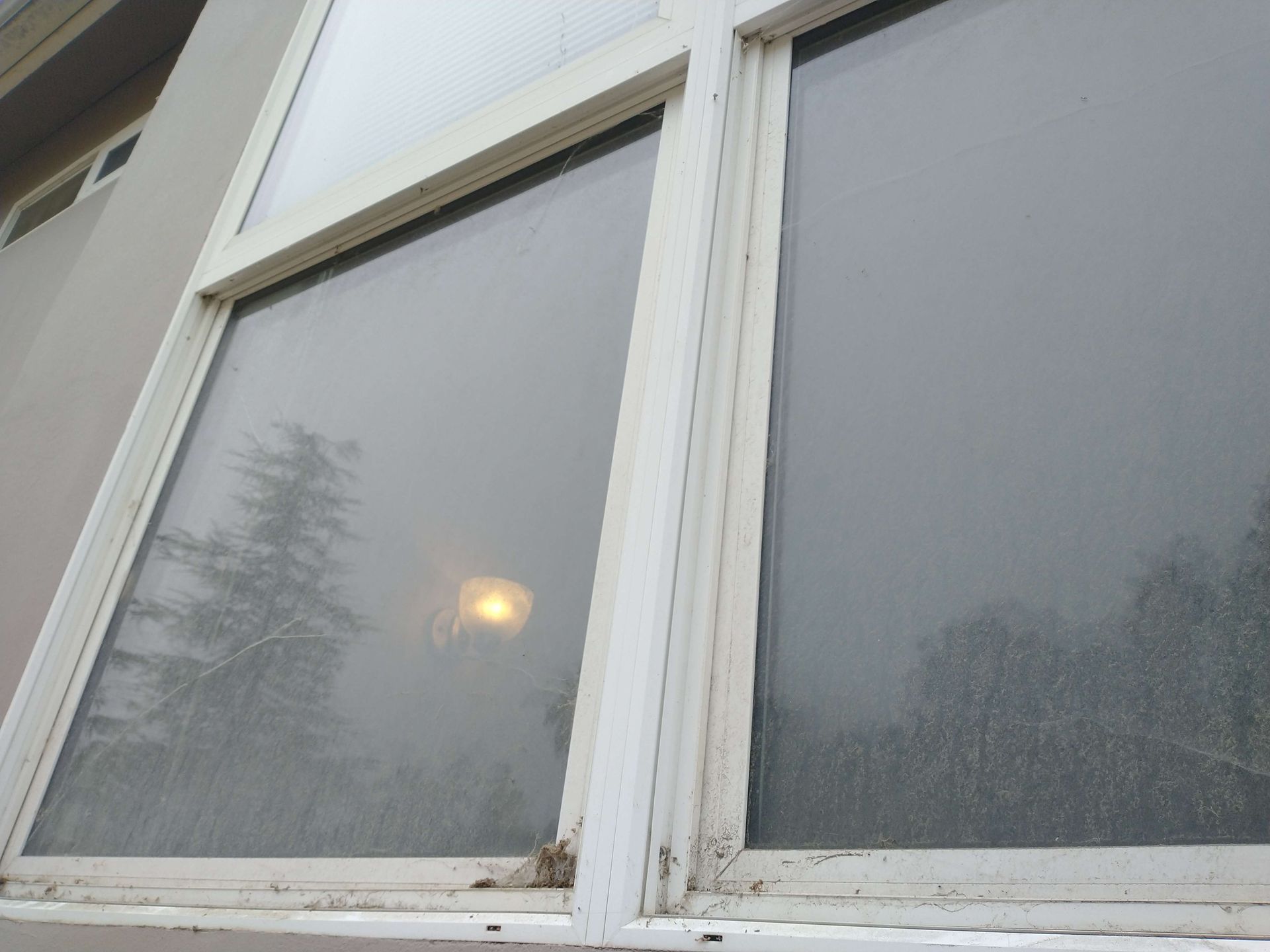 A white window with a reflection of trees in it