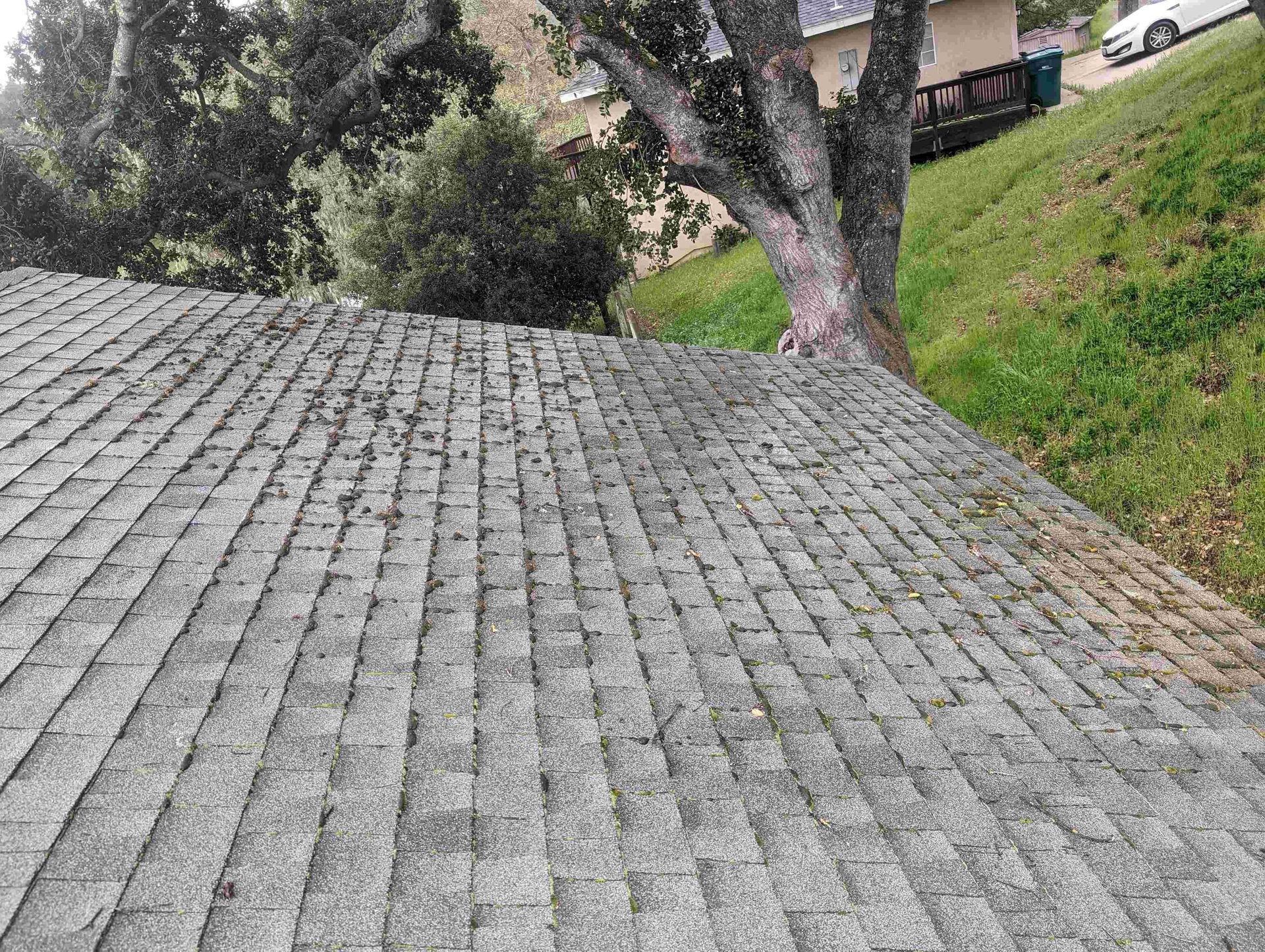 A roof with a tree in the background and a house in the background.