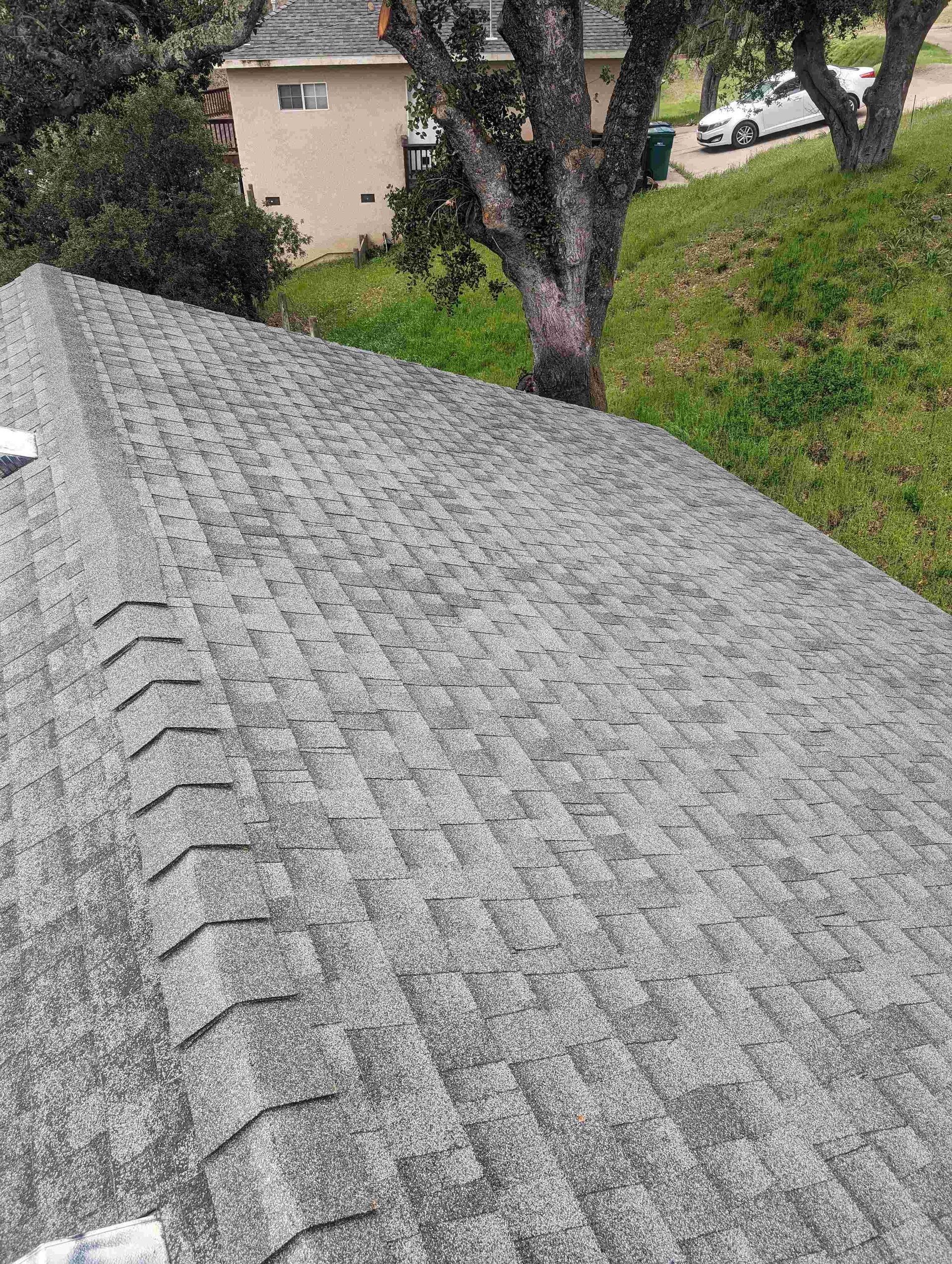A roof with a tree in the background and a house in the background.