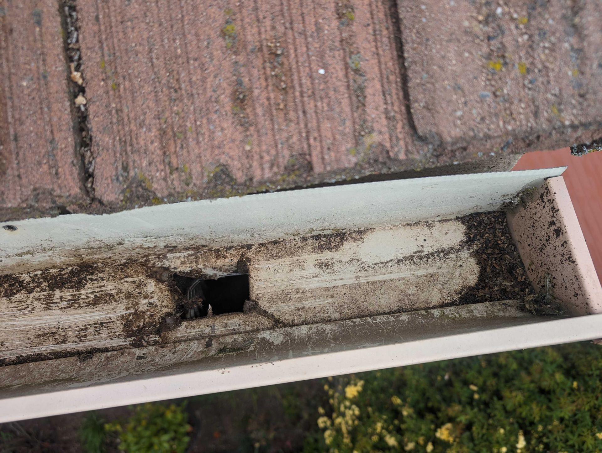 A gutter with a hole in it is sitting on top of a brick wall.