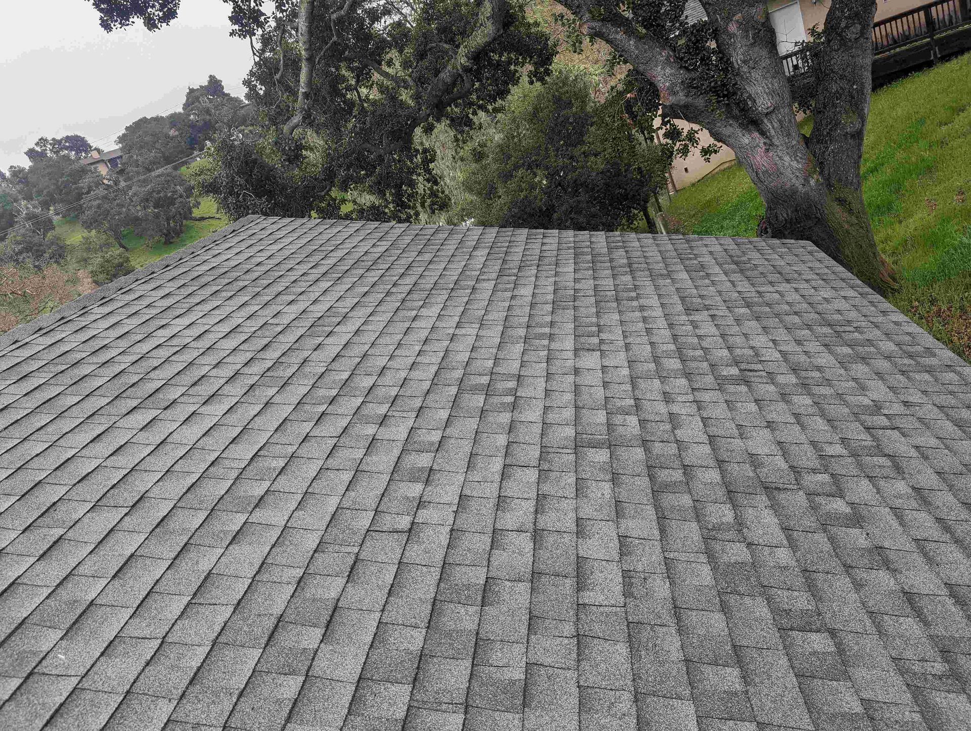 A roof with a lot of shingles on it and a tree in the background.
