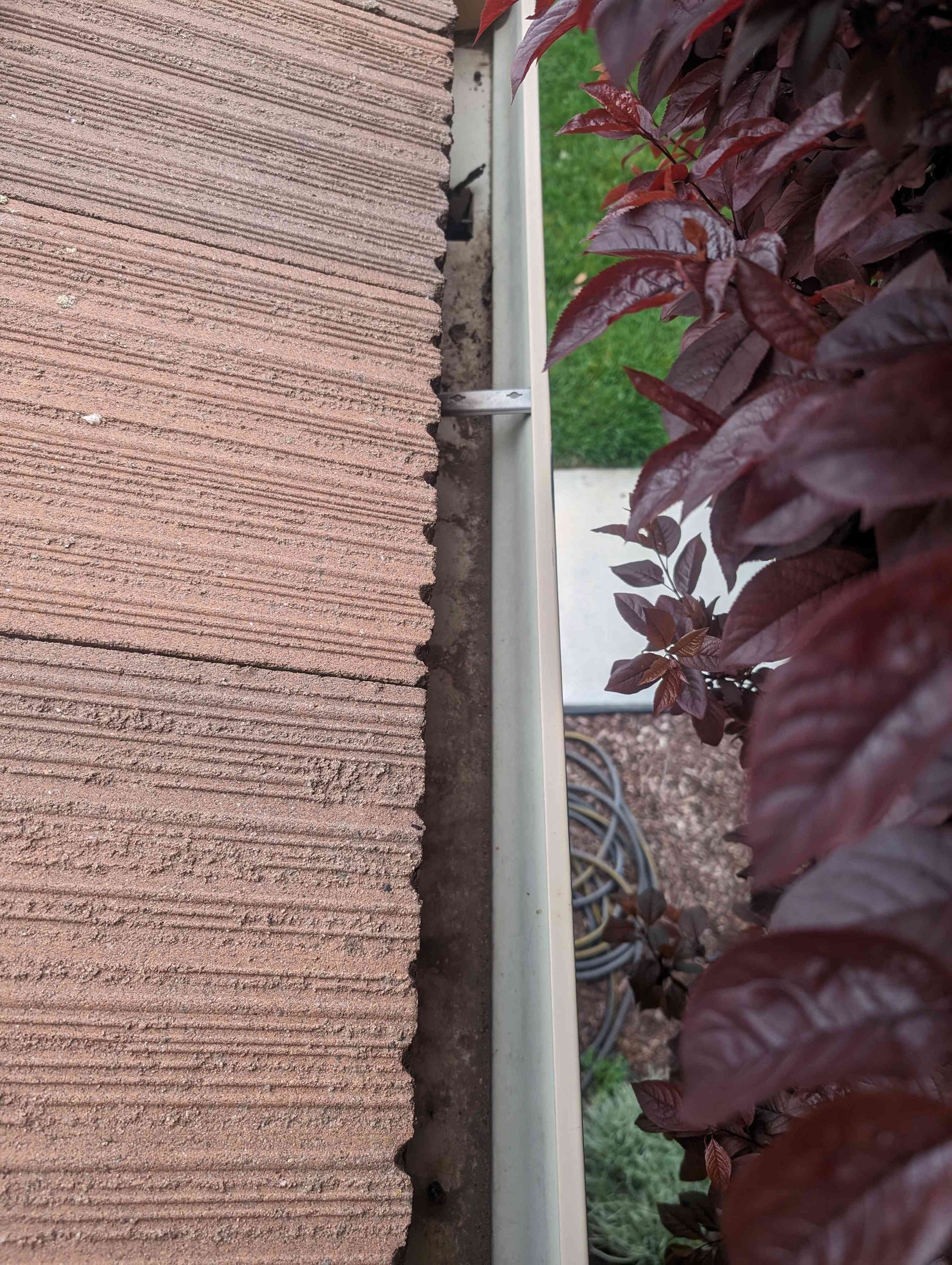 Gutter on the side of a building next to a plant