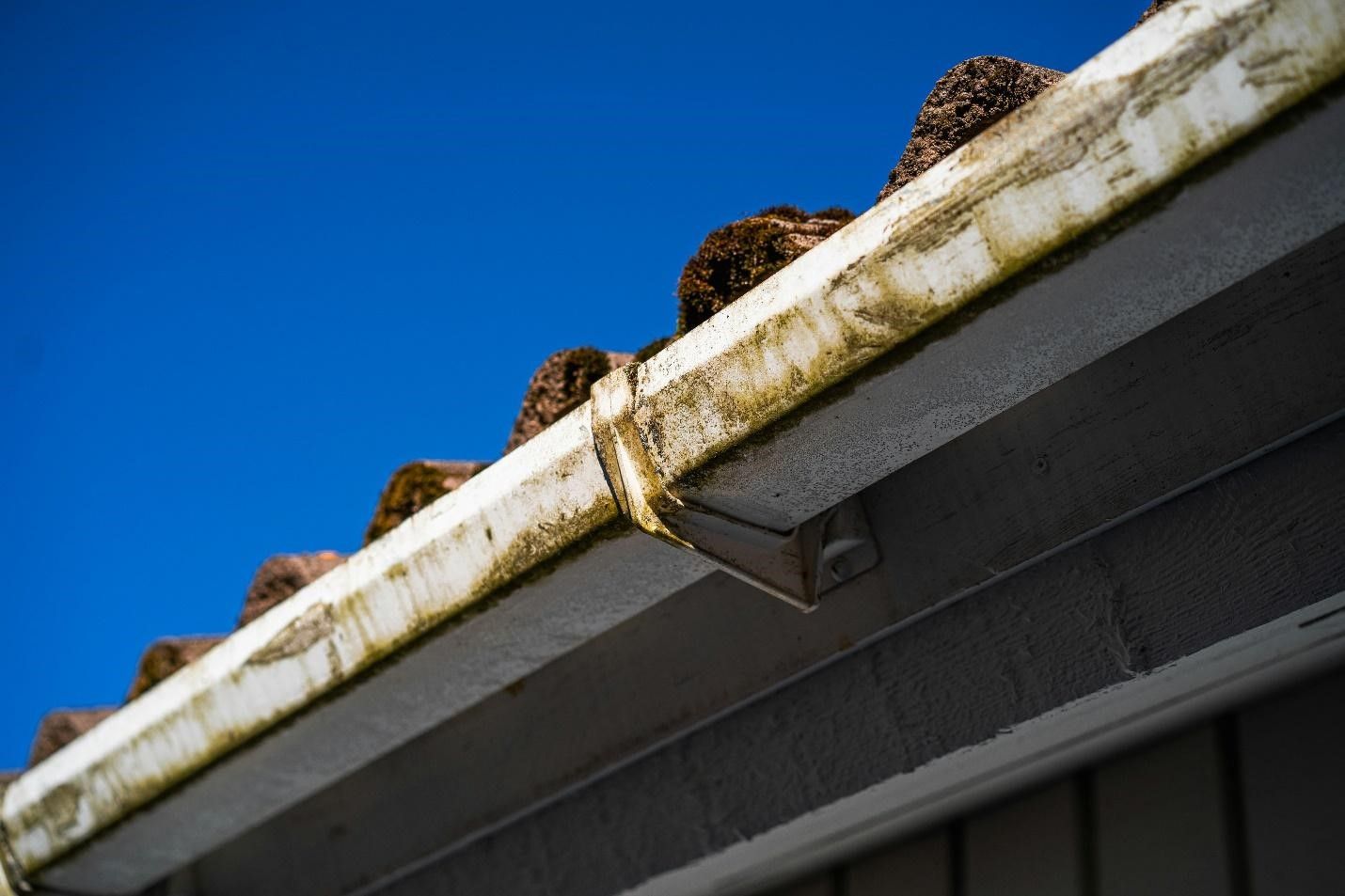 Gutter cleaning services