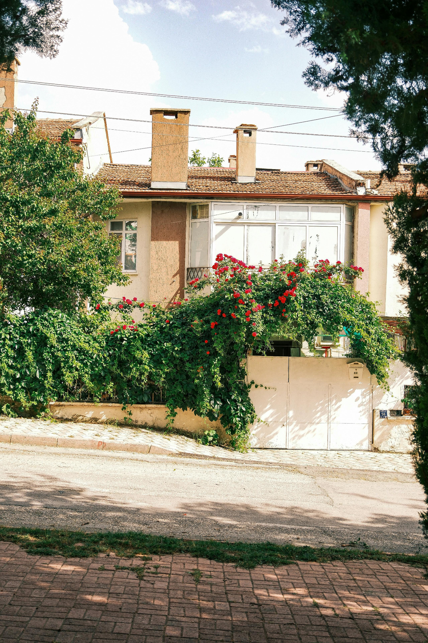 Soft washing eco-friendly