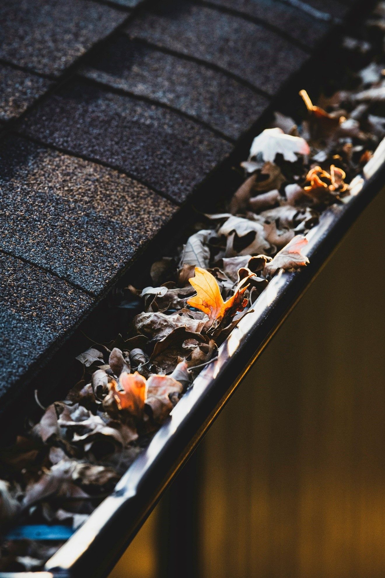 Gutter cleaning