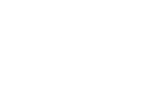 Mr. Brake logo