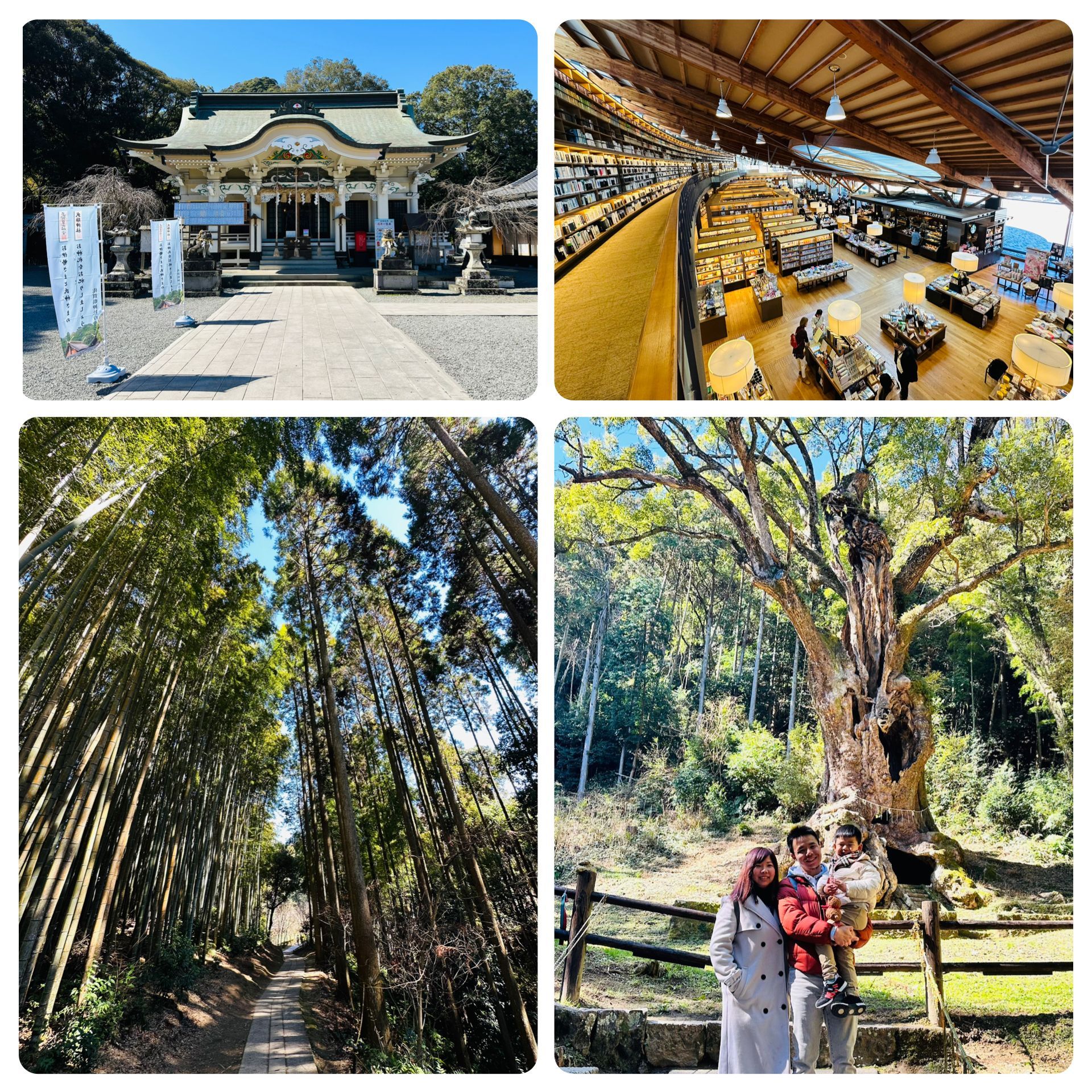 武雄神社和圖書館值得花一個早上的時間慢慢逛
