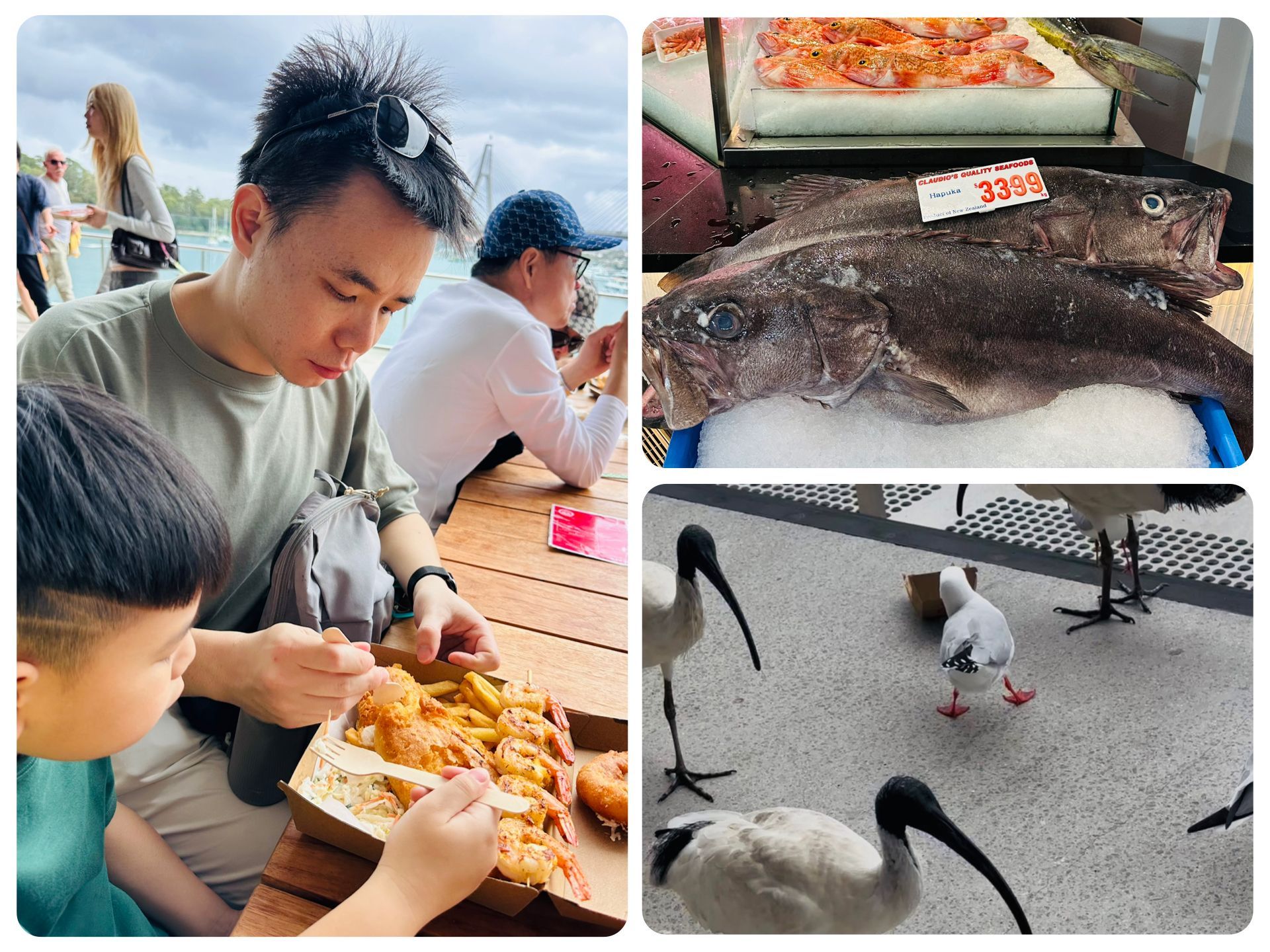 雪梨魚市場 Sydney Fish Market