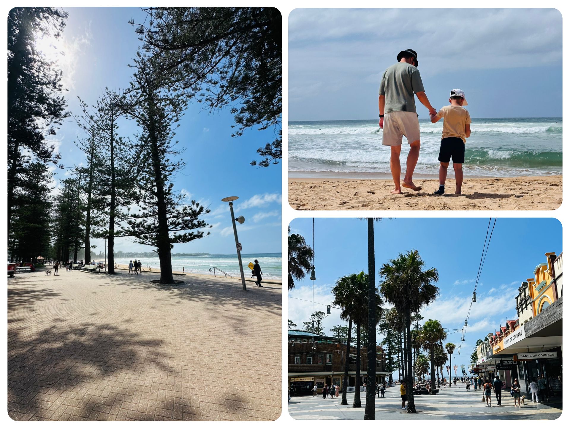 曼利海灘 Manly Beach