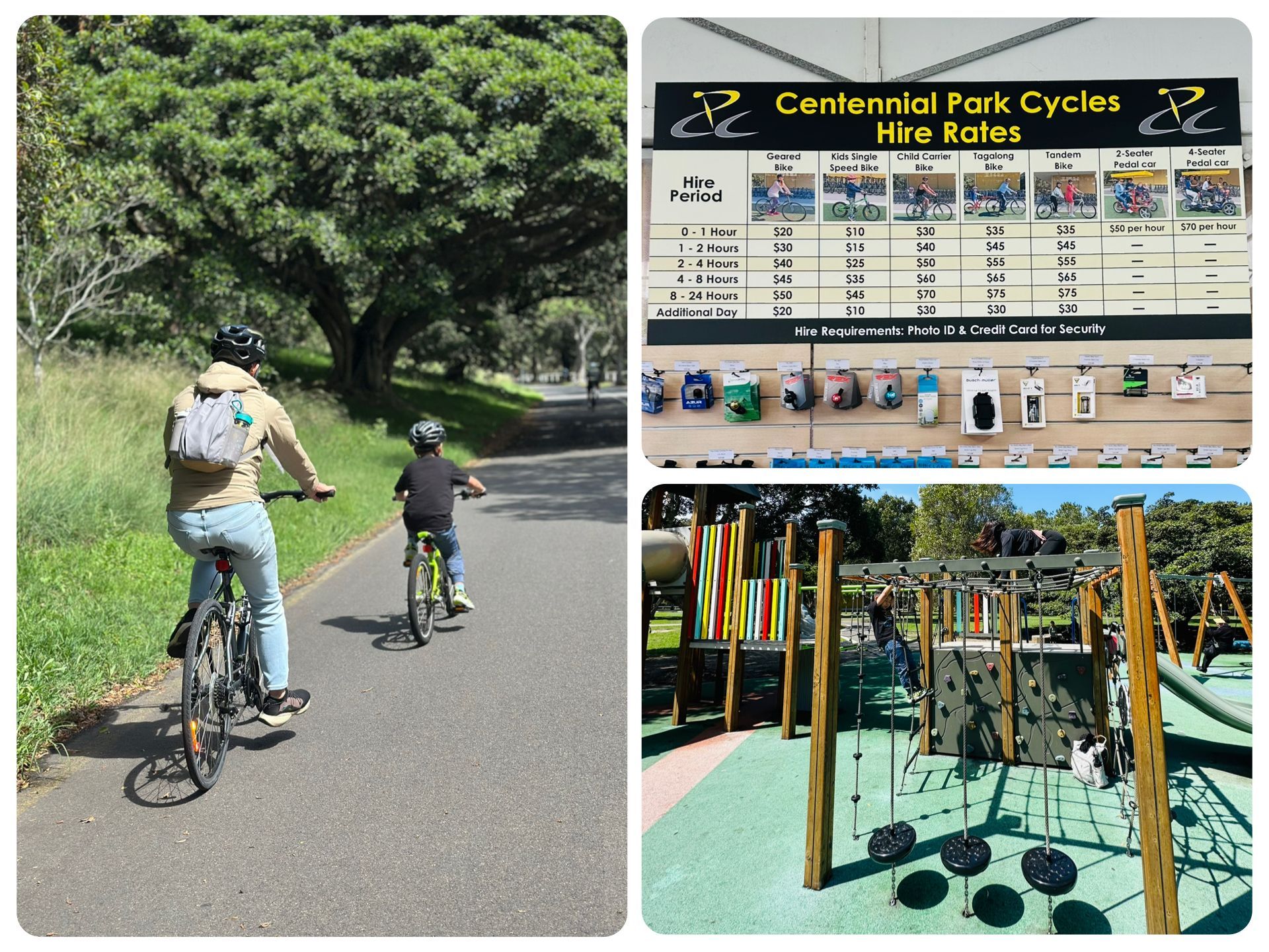 百年紀念公園 Centennial Park