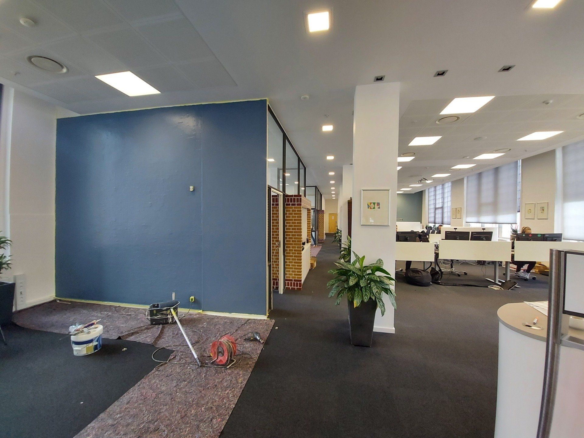 Et stort rum med en blå væg og en plante i en potte