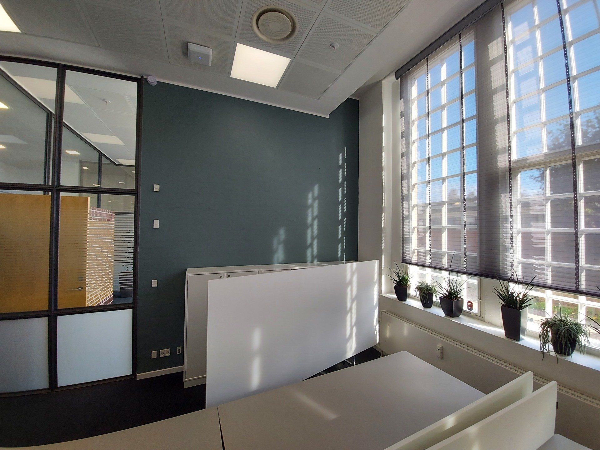 Et rum med mange vinduer og planter i vindueskarmen