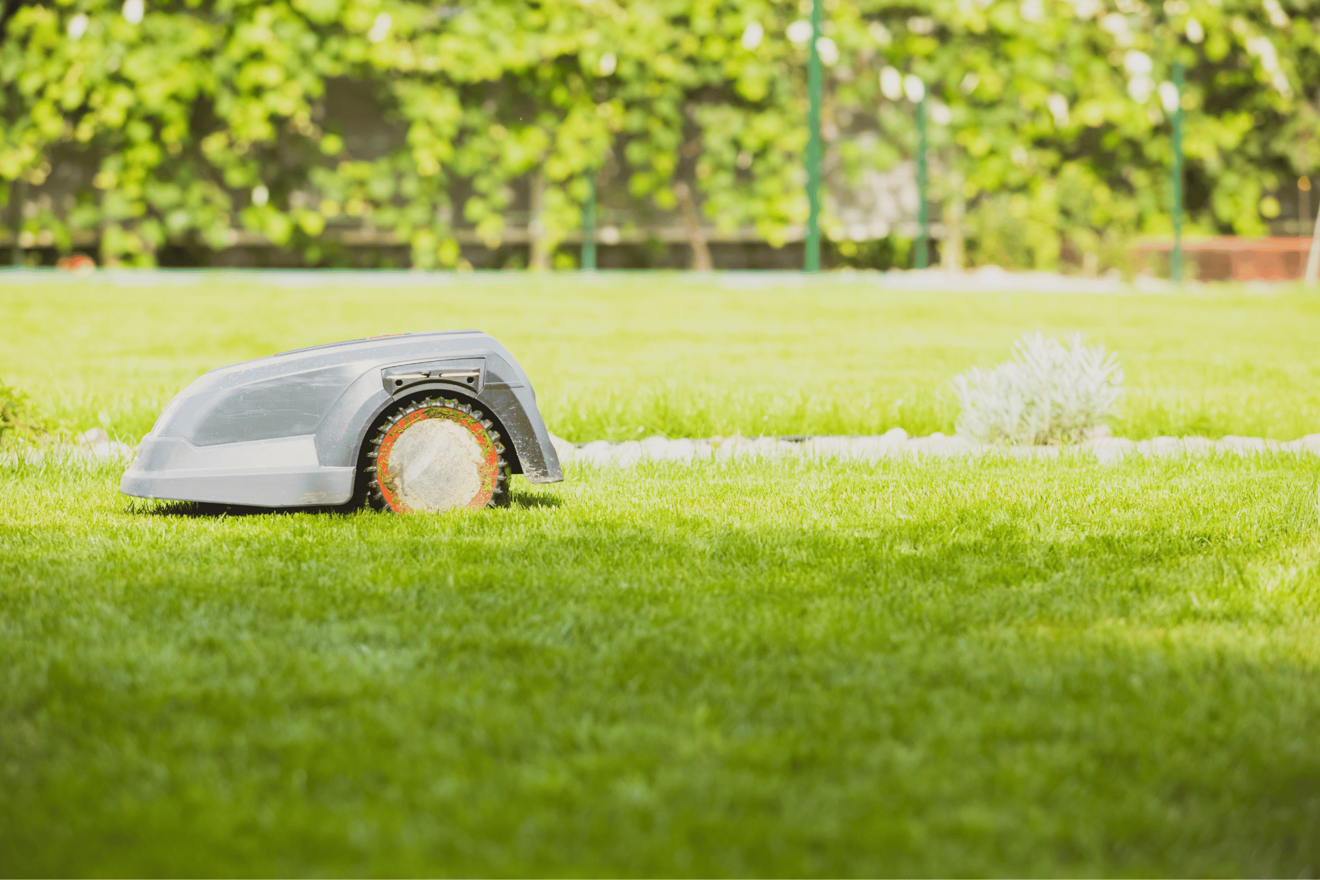 remote lawn mower memphis tn