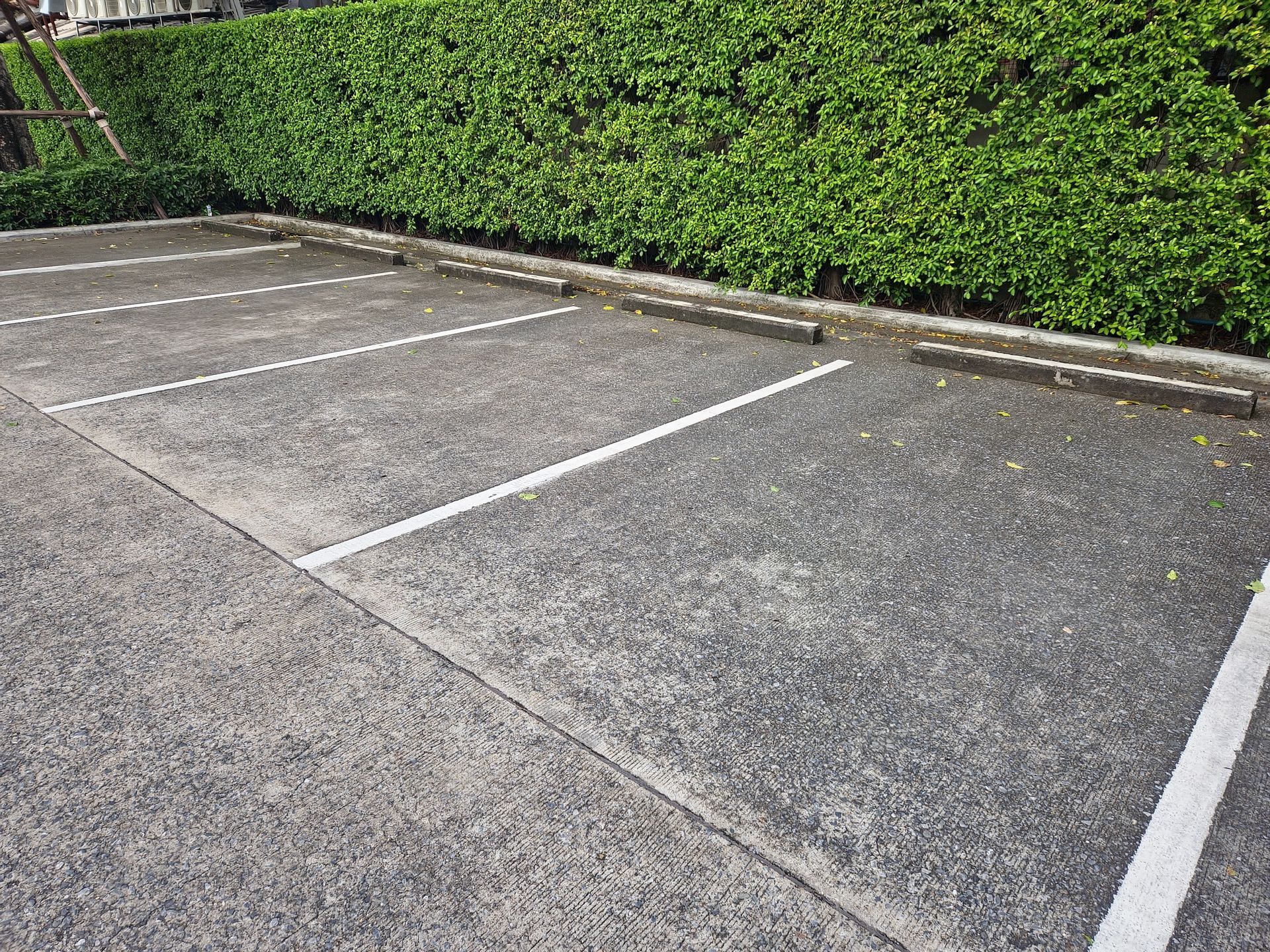 Empty parking spaces with white lines, backed by a green hedge.
