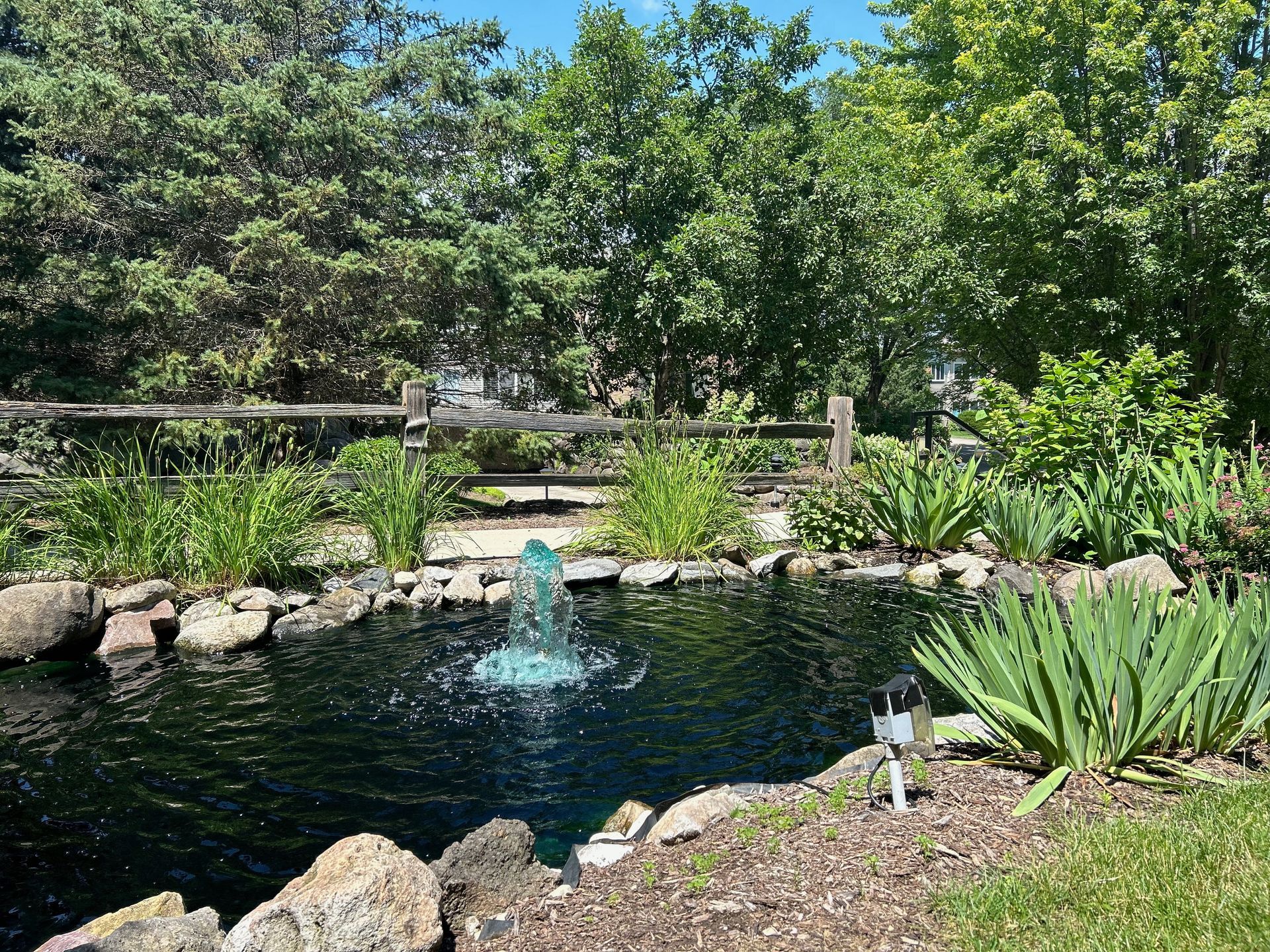 A pond with a fountain in the middle of it in a garden.