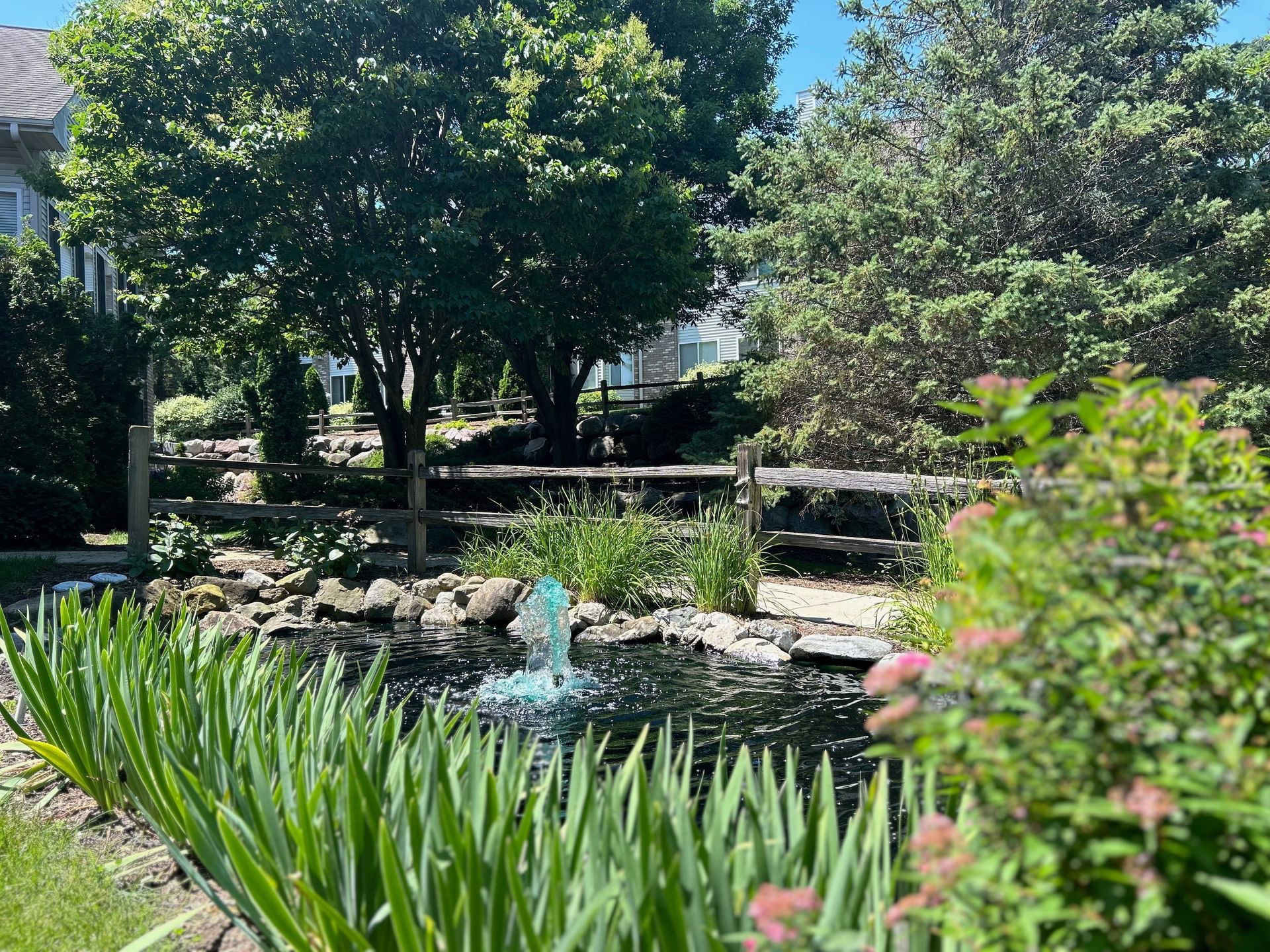 There is a pond with a fountain in the middle of the garden.
