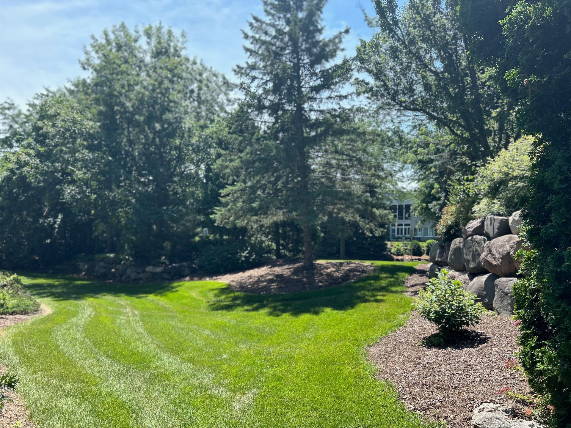 A lush green yard with trees and rocks in the background.