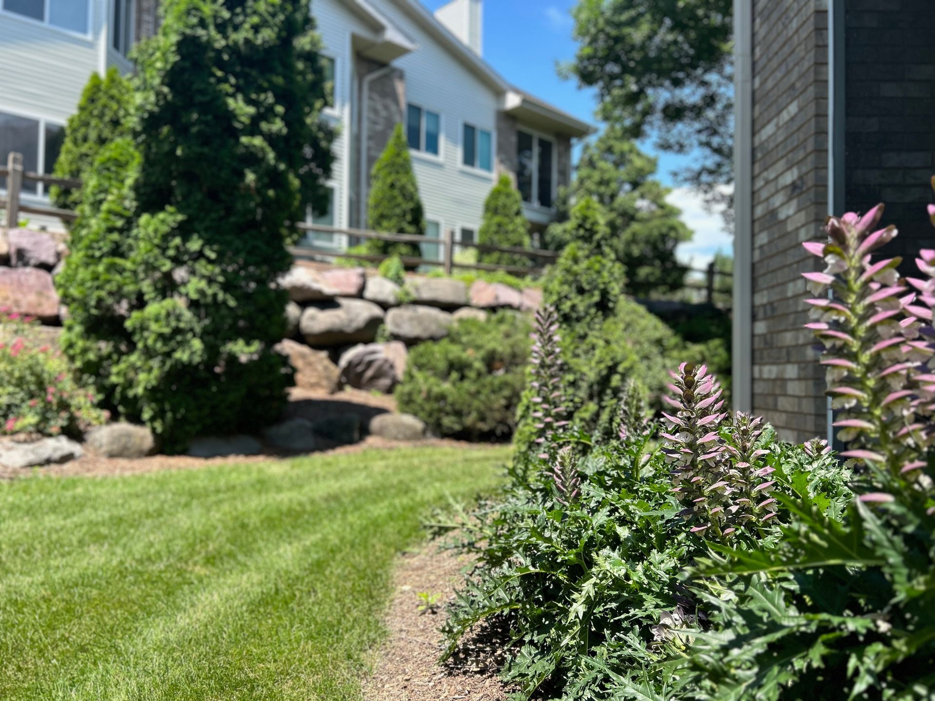 A house with a lush green lawn and bushes in front of it.