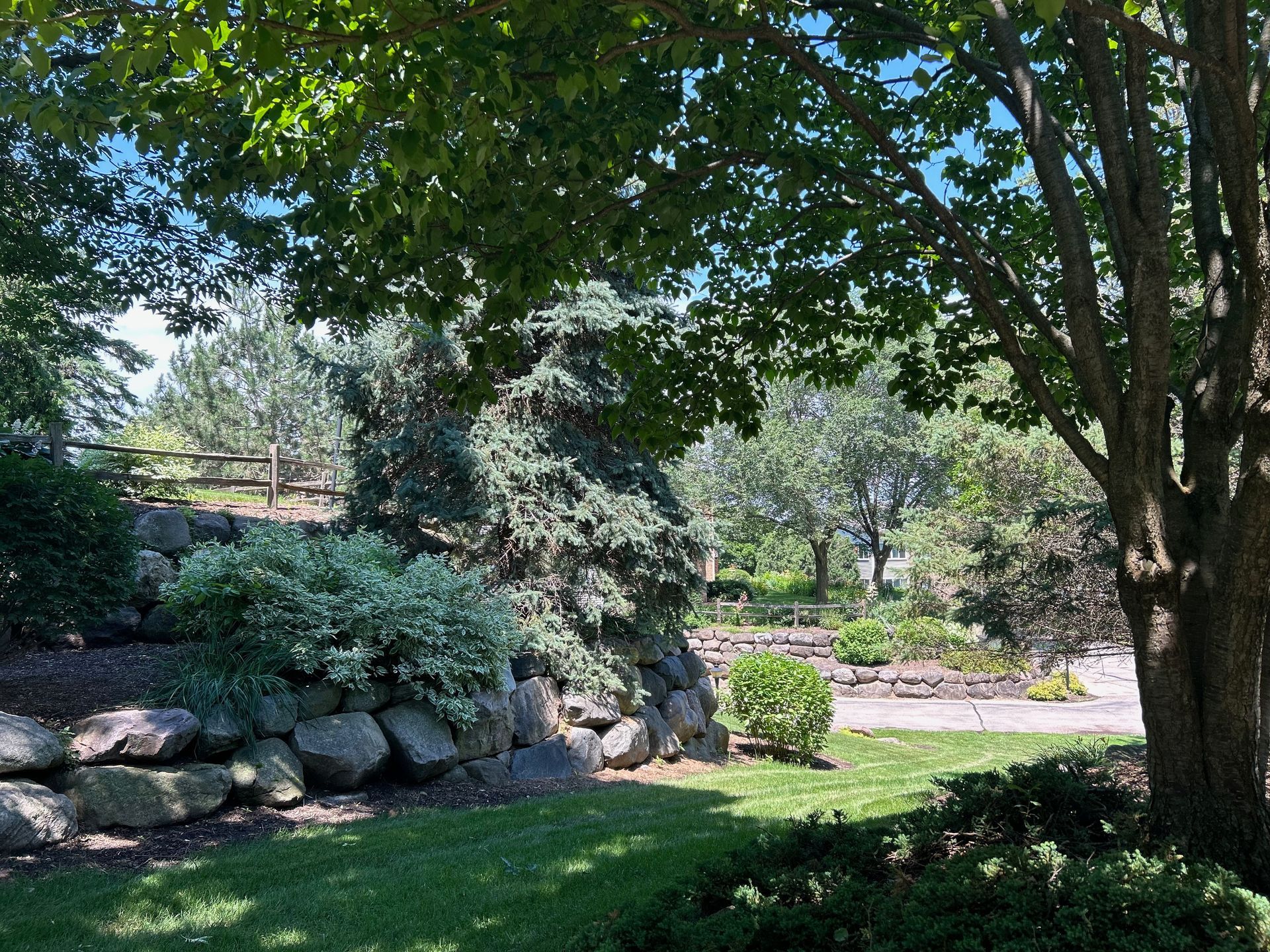 A lush green garden with a stone wall and trees on a sunny day.