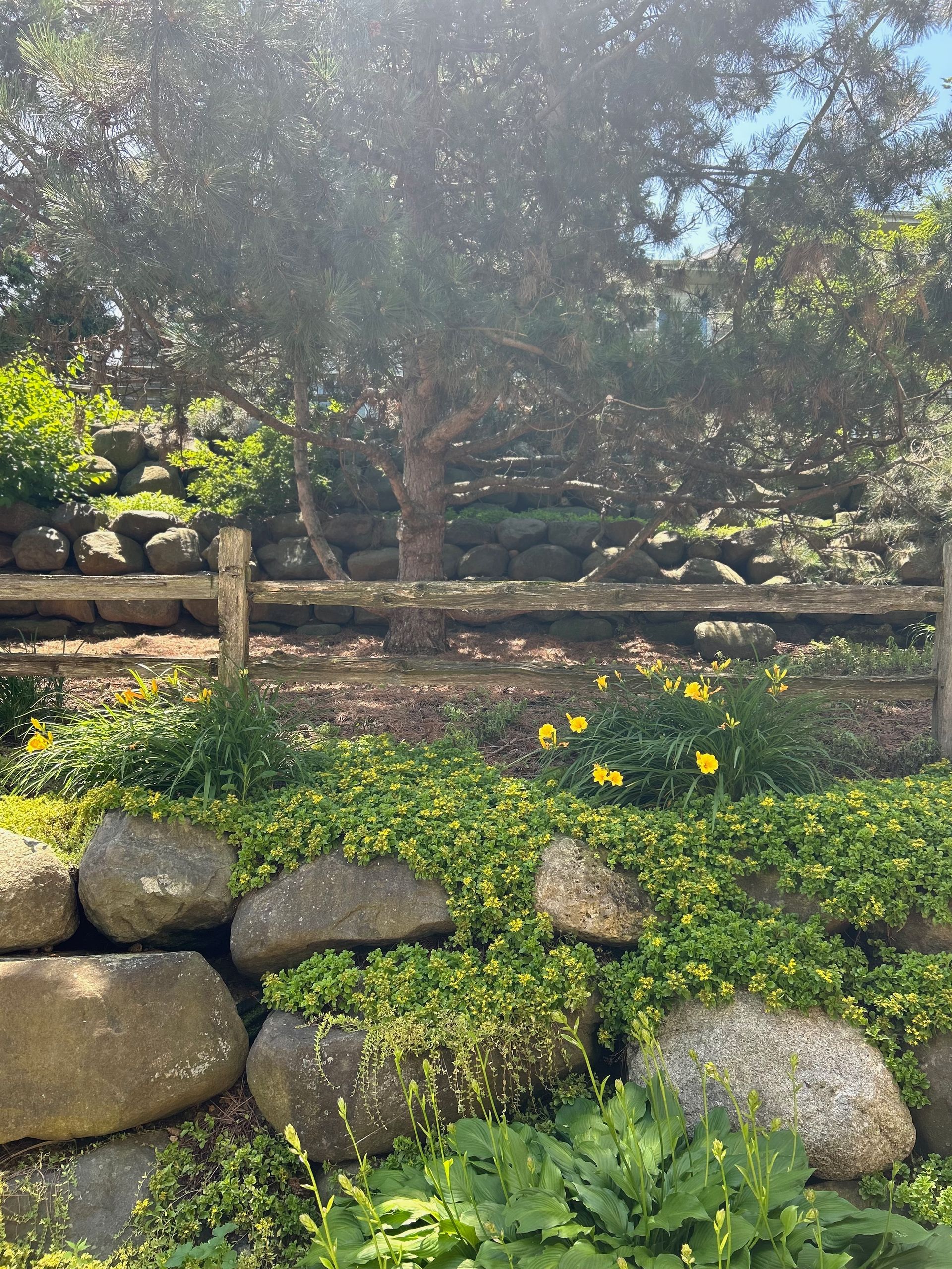 A wooden fence is surrounded by rocks and plants in a garden.