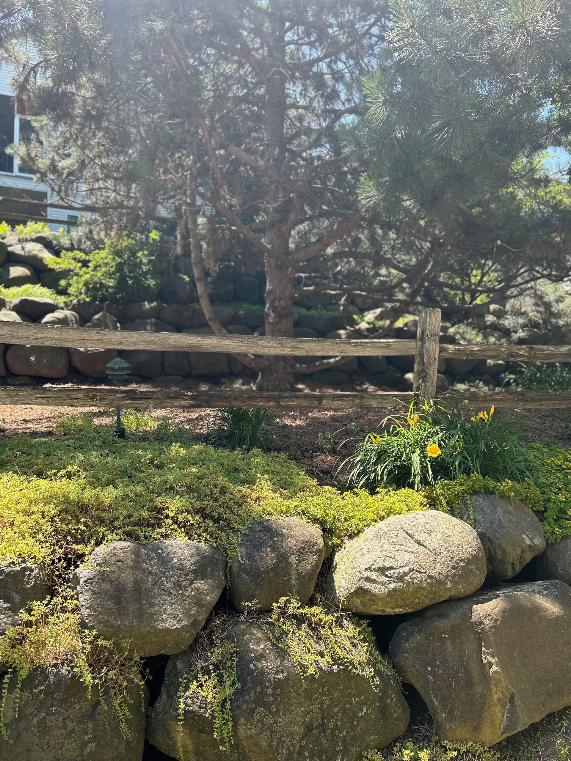 A wooden fence is surrounded by rocks and trees in a garden.