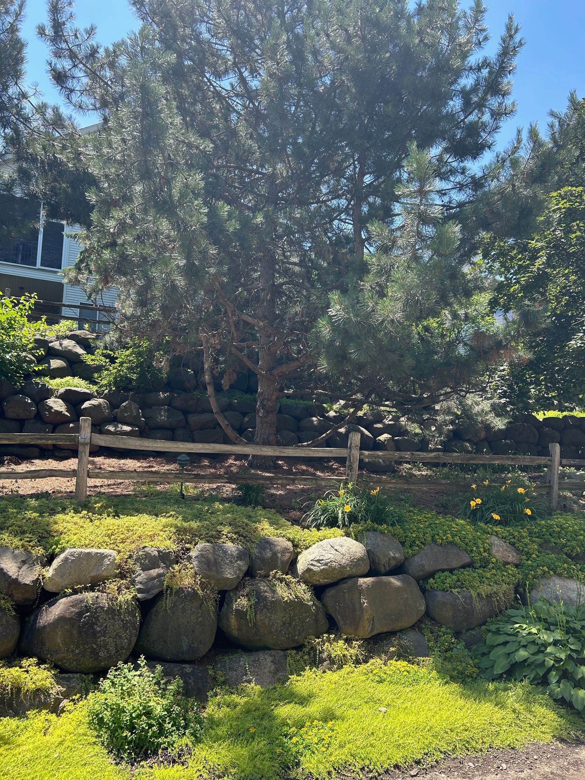 A wooden fence is surrounded by rocks and trees