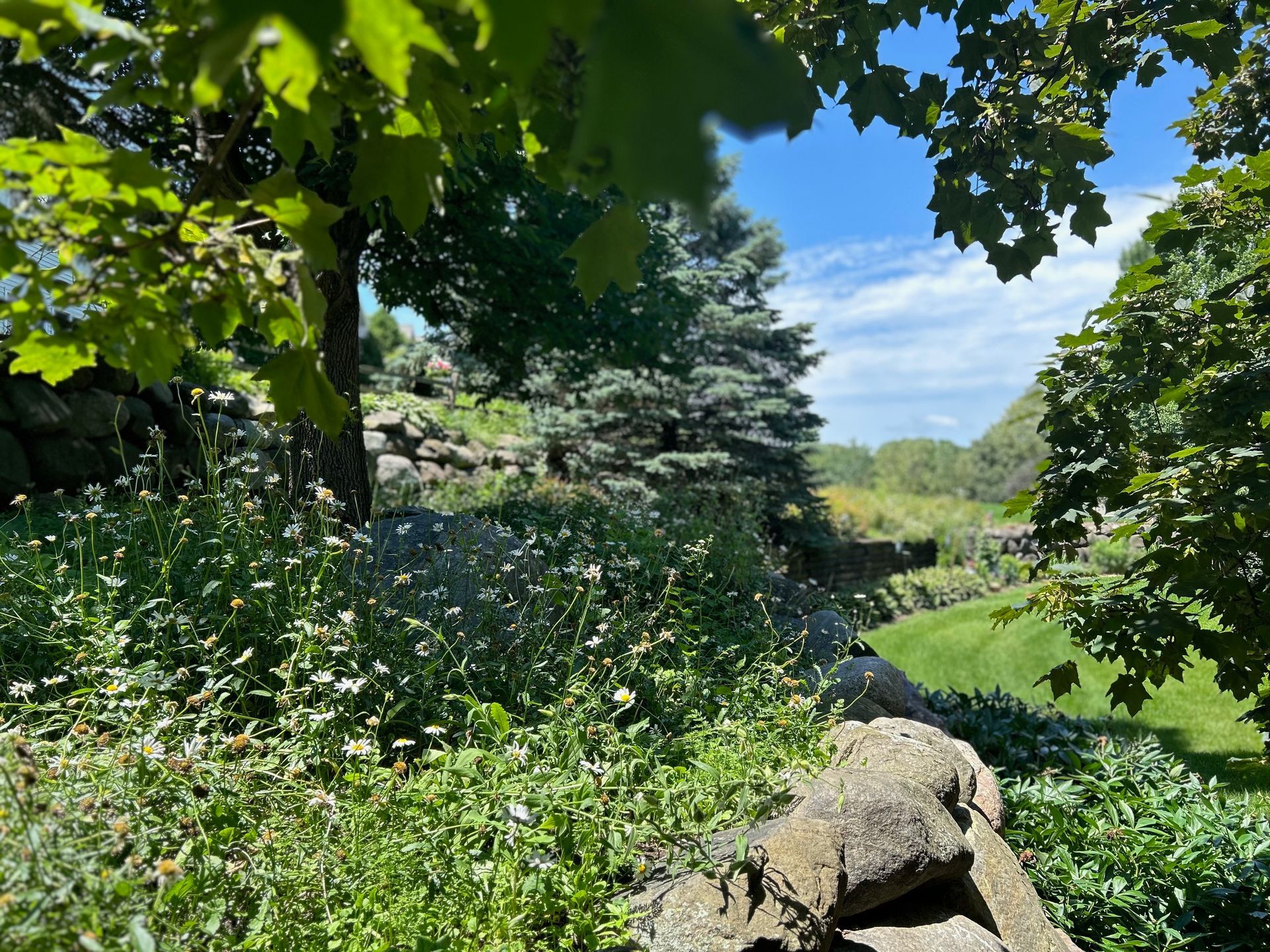 A stone wall surrounded by trees and grass with a view of a field.