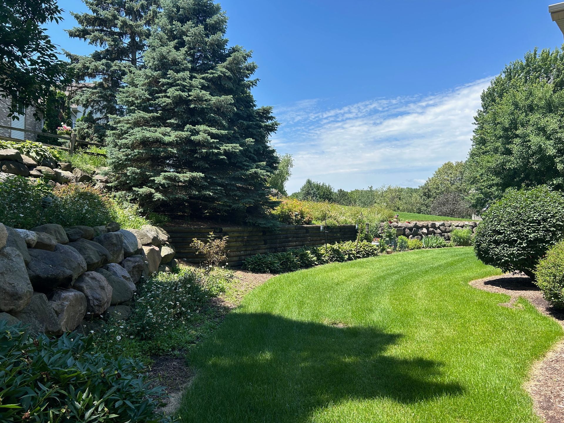 A lush green yard with trees and rocks on a sunny day