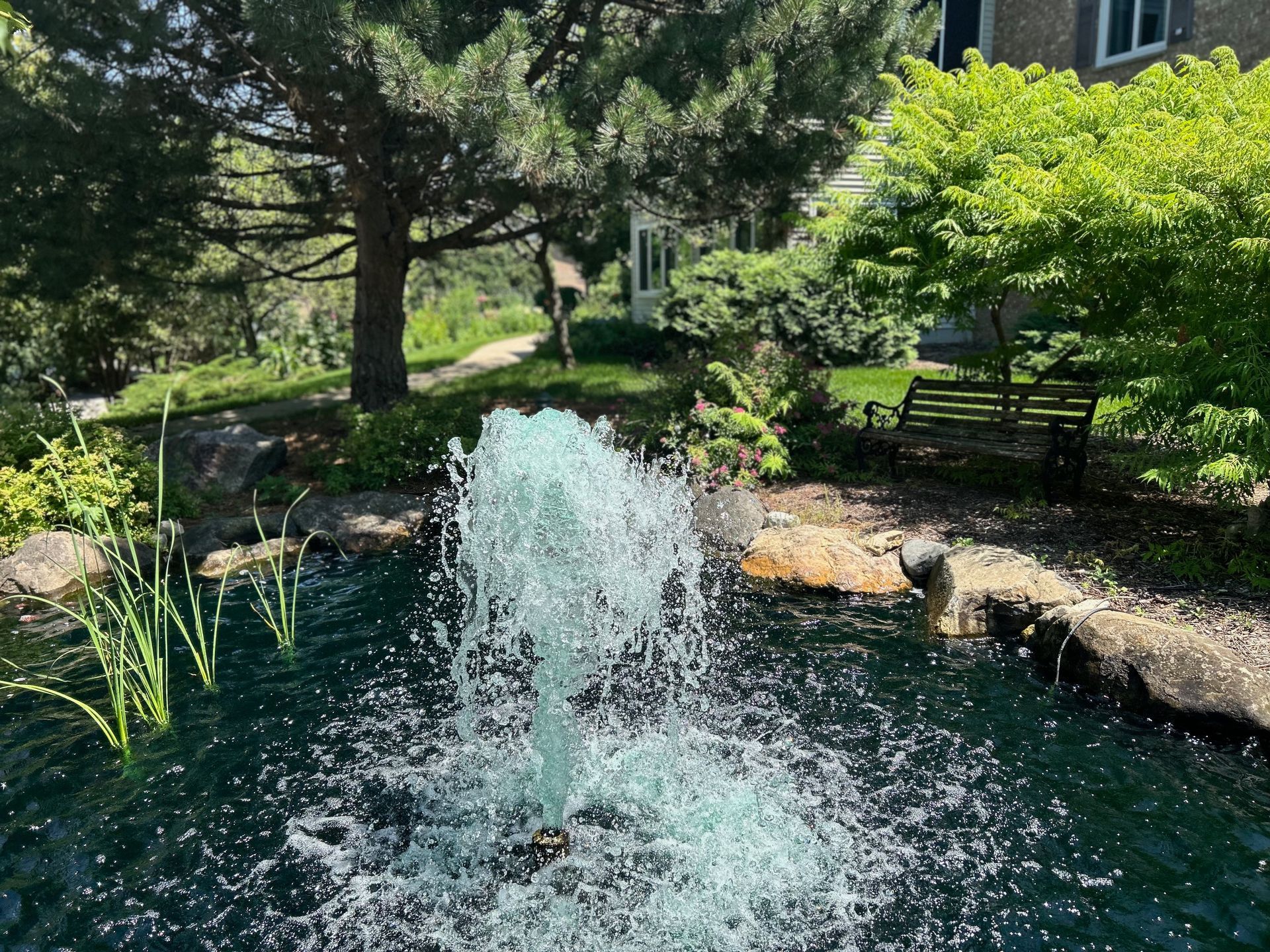 A fountain is spraying water into a pond in a garden.